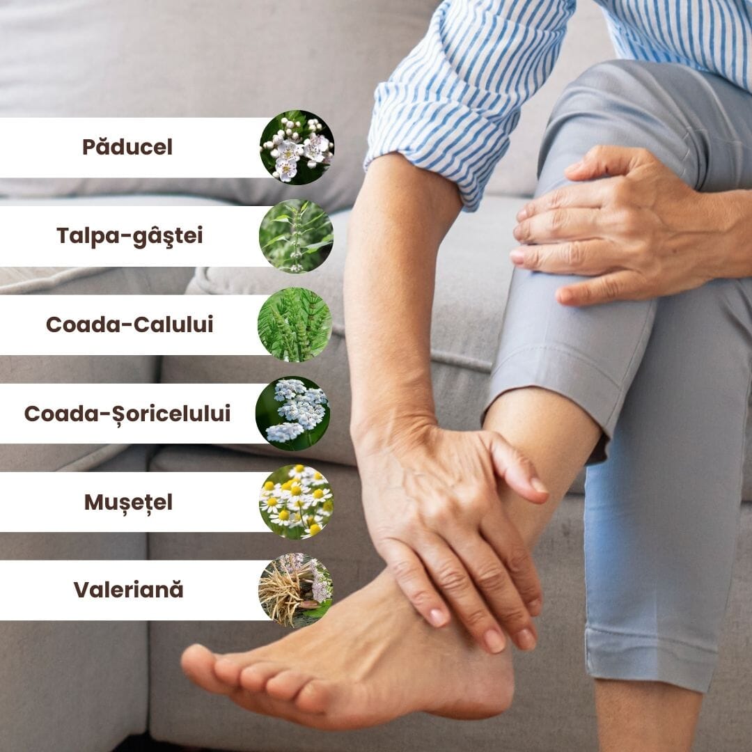 Grafică cu ingrediente ale Pachetului Picioare Sănătoase și Frumoase de la Faunus Plant: Păducel, Talpa-gâștei, Coada-Calului, Coada-șoricelului, Mușețel și Valeriană, alături de o imagine cu picioare relaxate.
