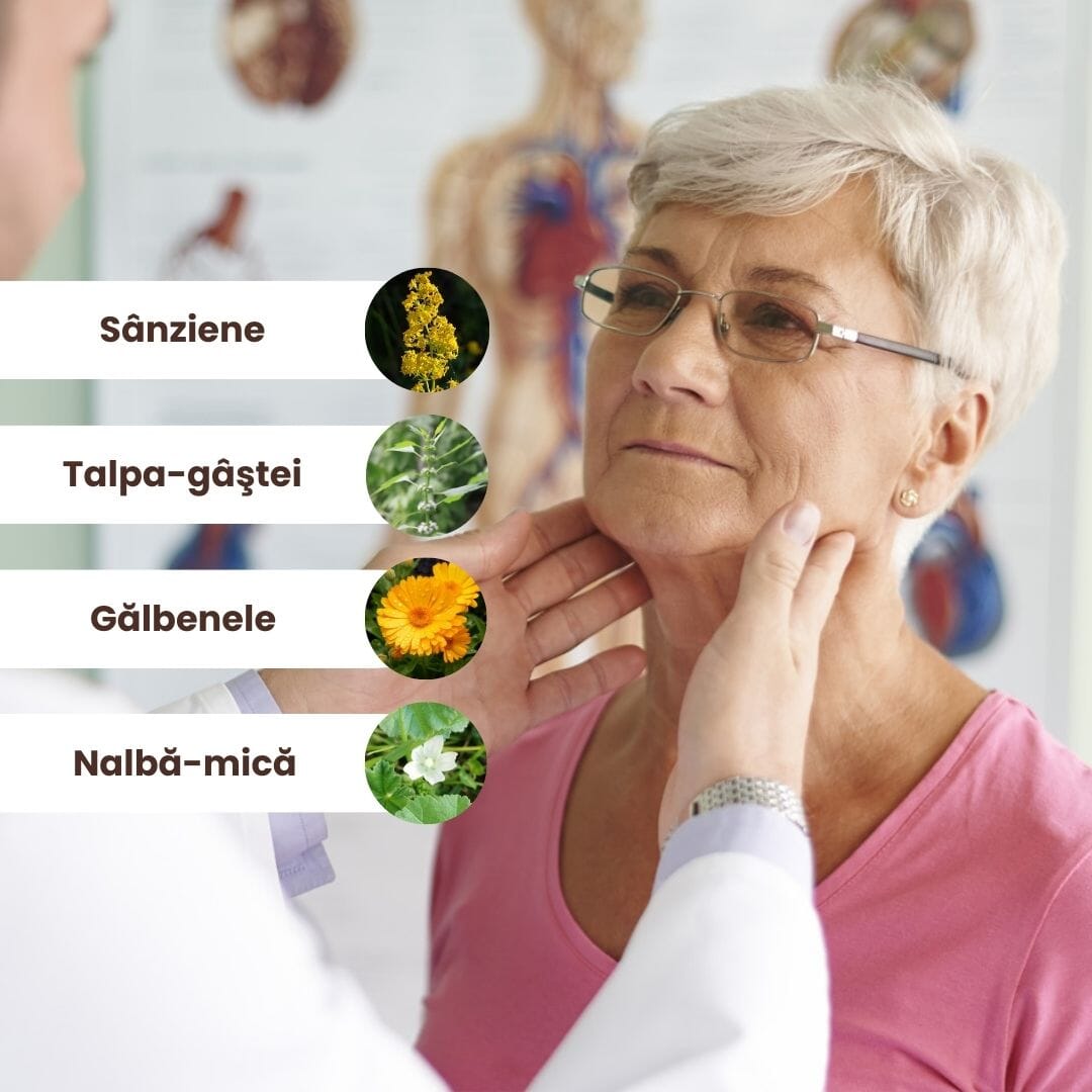 Imagine grafică ce prezintă ingrediente naturale ale Pachetului Tiroidă Sănătoasă de la Faunus Plant precum sânziene, talpa-gâștei, gălbenele și nalbă-mică, utilizate în produsele din Pachetul Tiroida Sănătoasă.