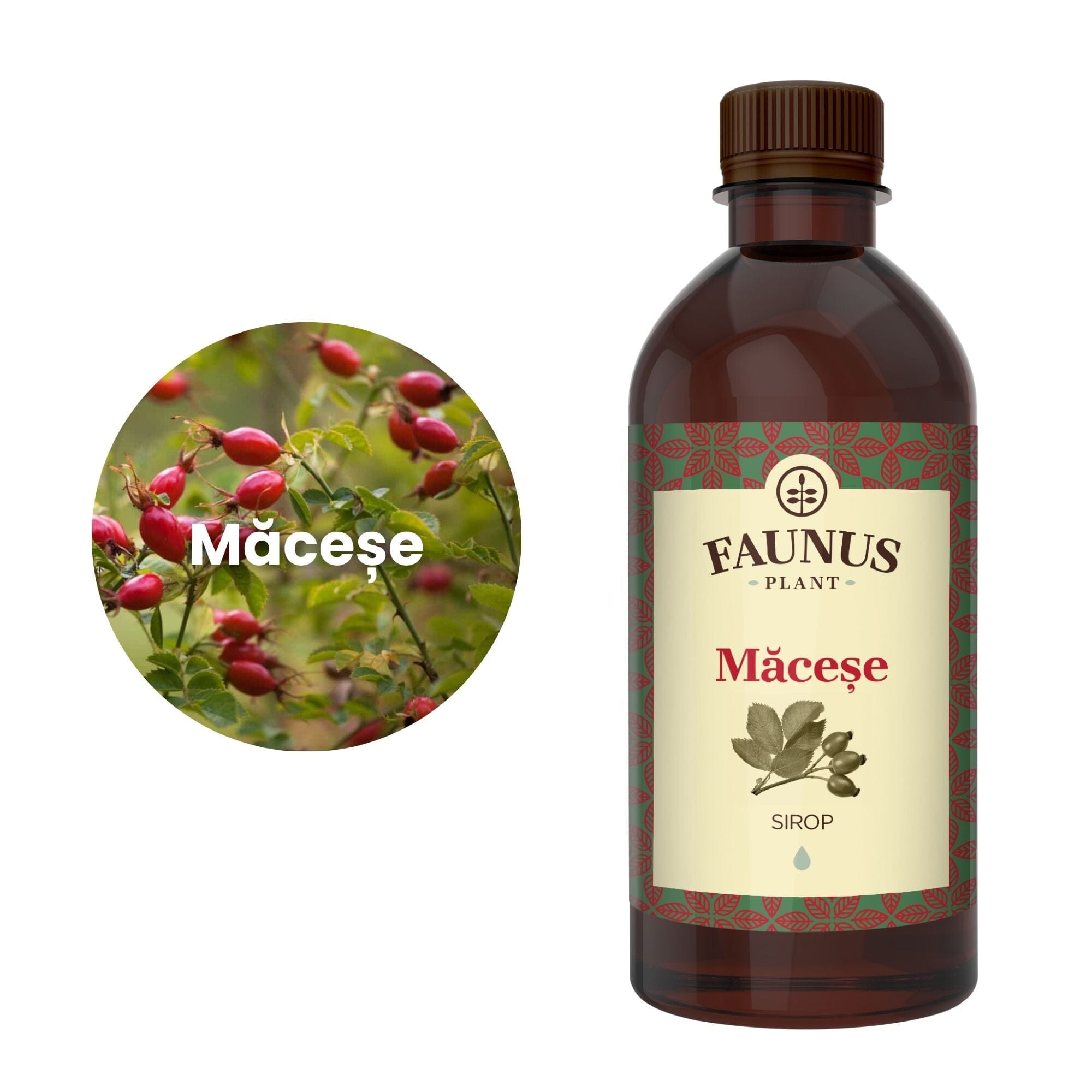 Imagine trunchiată într-o formă de cerc a ingredientului principal al suplimentului, și anume măceșele, în chenar alb, având în partea dreaptă flaconul de Sirop Măceșe 500 ml.