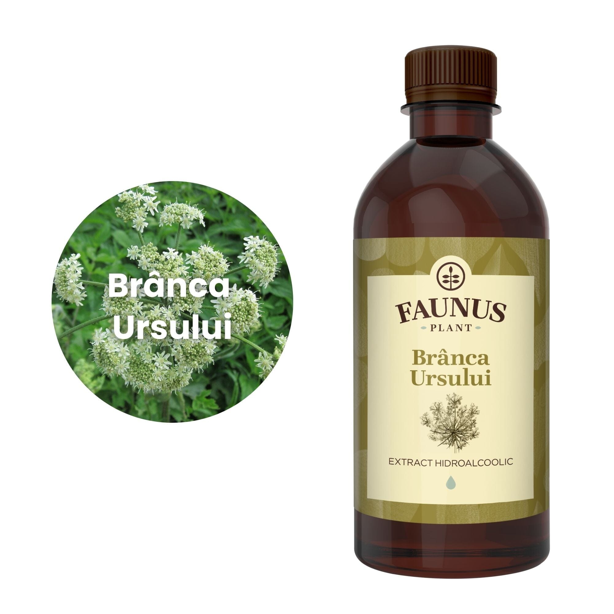 Flaconul de Brânca Ursului 500 ml alături de o poză cu ingredientul principal, brânca ursului