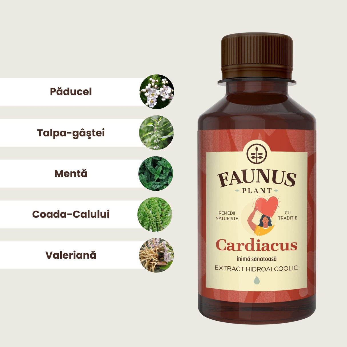 Flaconul de Tinctură Cardiacus 200 ml alături de o poză cu ingredientele principale: păducel, talpa-gâștei, mentă, coada-calului și valeriană.