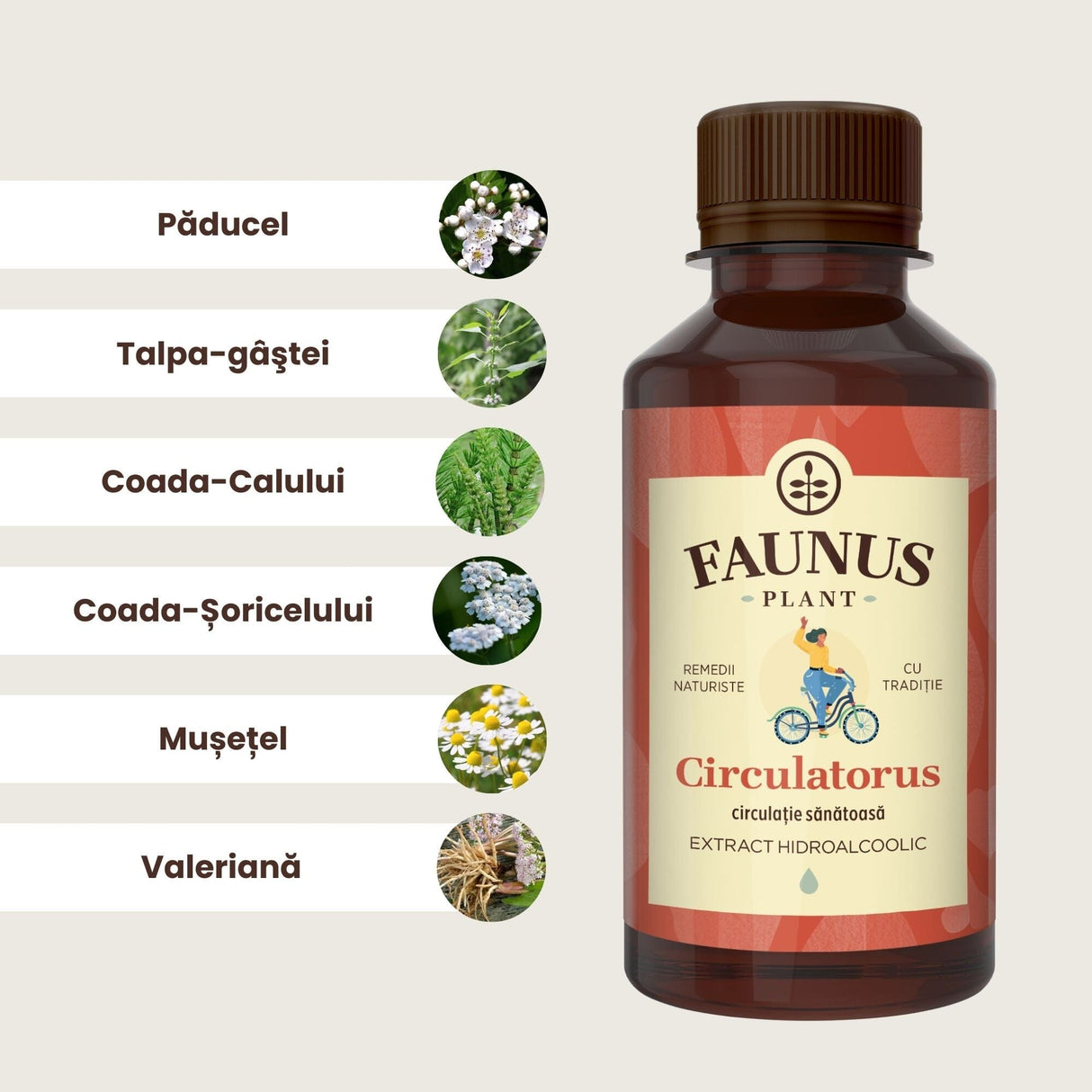 Flaconul de Tinctură Circulatorus 200 ml alături de o poză cu ingredientele principale: păducel, talpa- gâștei, coada-calului, coada-șoricelului, mușețel și valeriană.