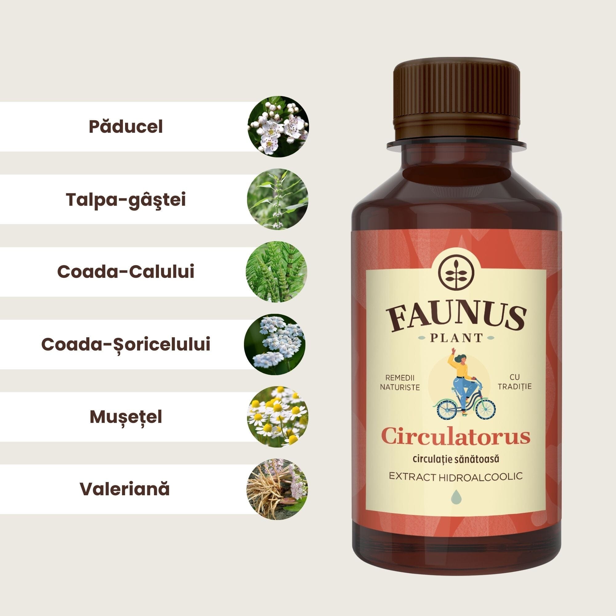 Flaconul de Tinctură Circulatorus 200 ml alături de o poză cu ingredientele principale: păducel, talpa- gâștei, coada-calului, coada-șoricelului, mușețel și valeriană.