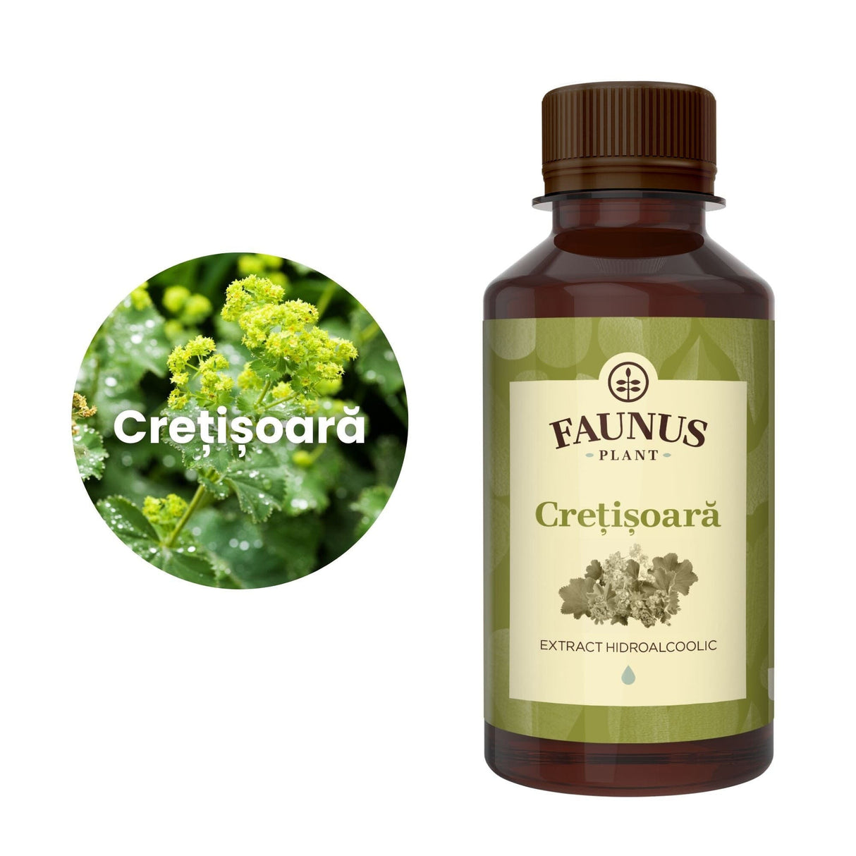 Flaconul de Tinctură Crețișoara 200 ml alături de o poză cu ingredientul principal: crețișoara