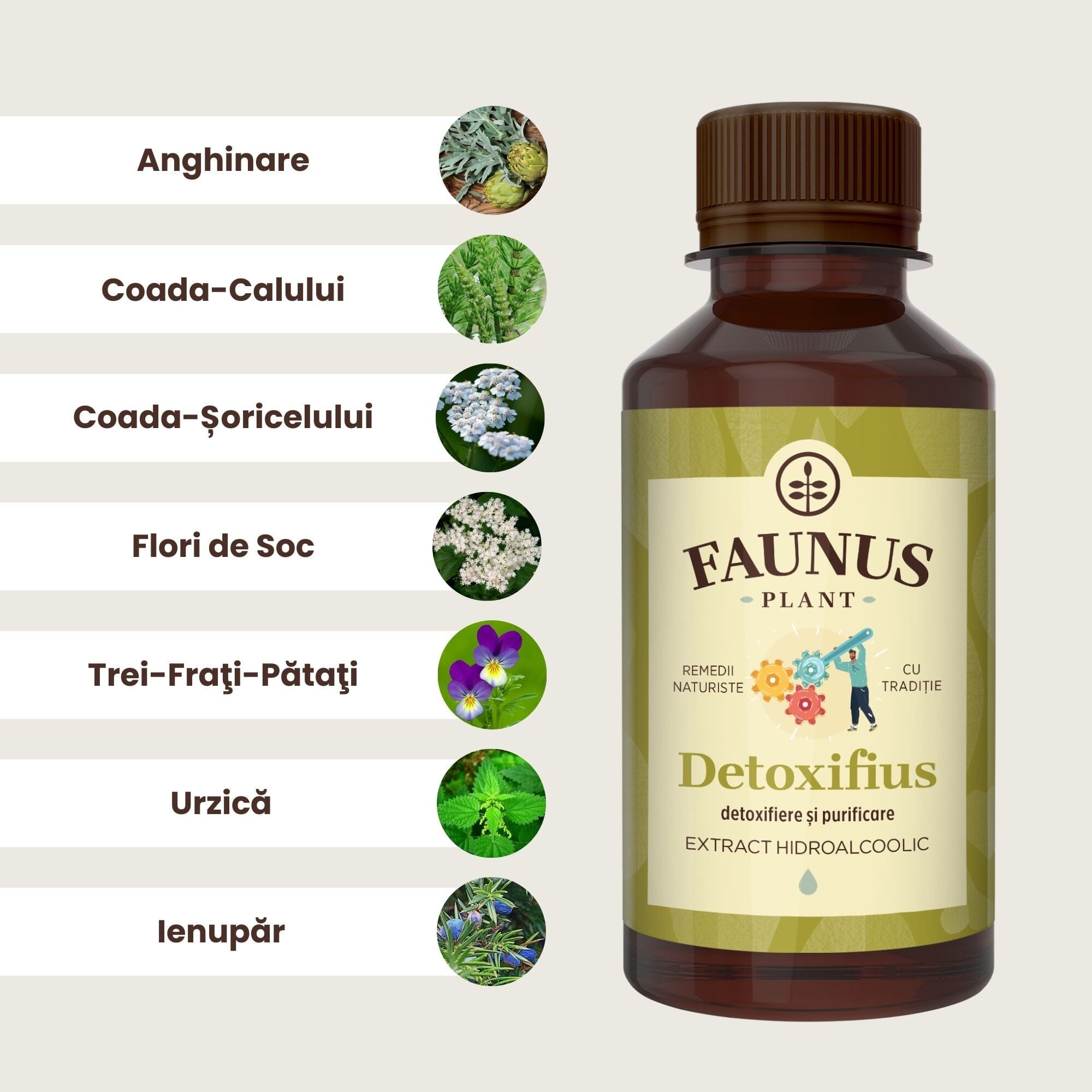 Flaconul de Tinctură Detoxifius 00 ml alături de o poză cu ingredientele principale: anghinare, coada-calului, coada șoricelului, flori de soc, tre-frați-pătați, urzică și ienupăr.