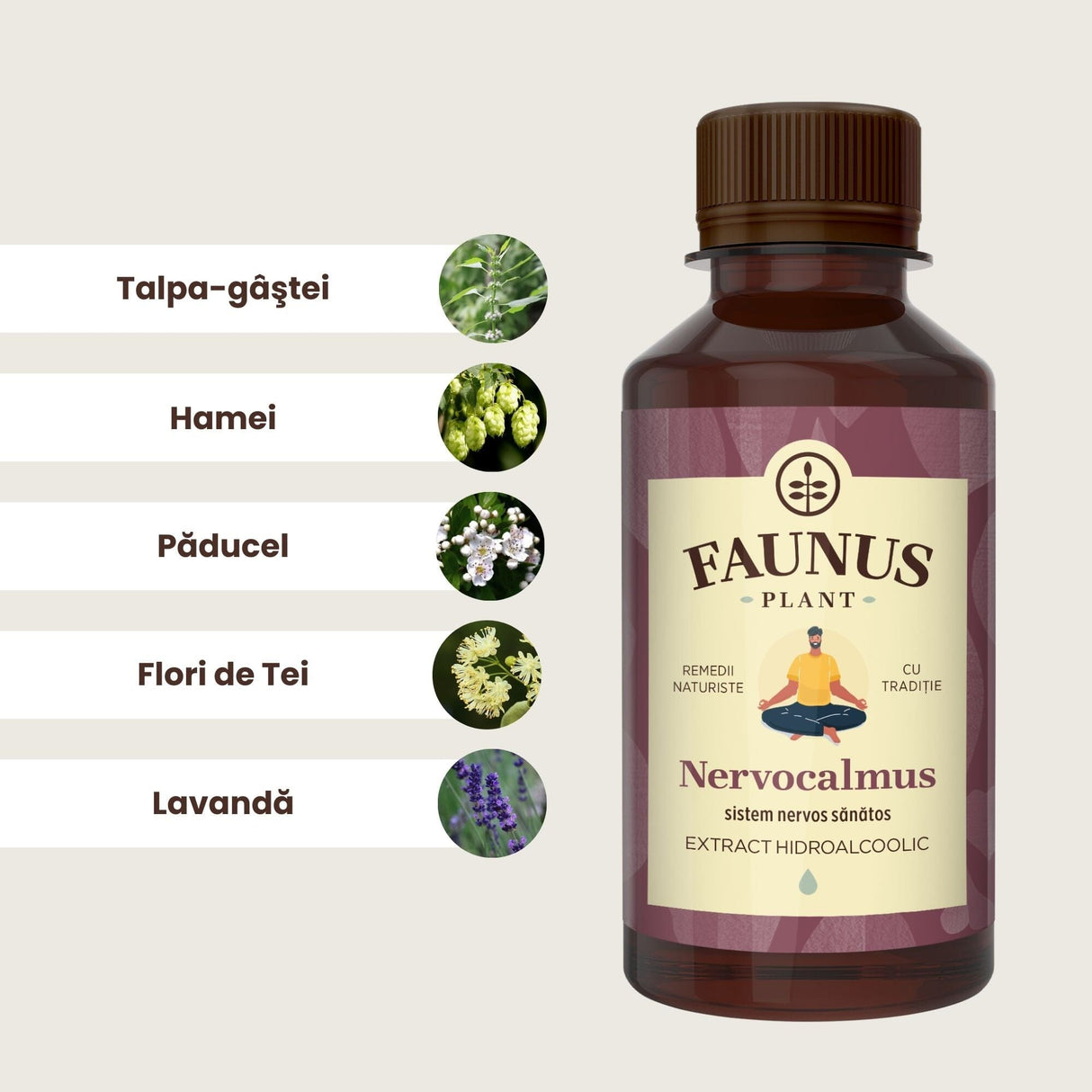 Reprezentare grafică a ingredientelelor principale ale Tincturii Nervocalmus 200ml: talpa-gâștei, hamei, păducel,flori de tei și lavandă. În dreapta imaginii, flaconul Tinctura Nervocalmus.