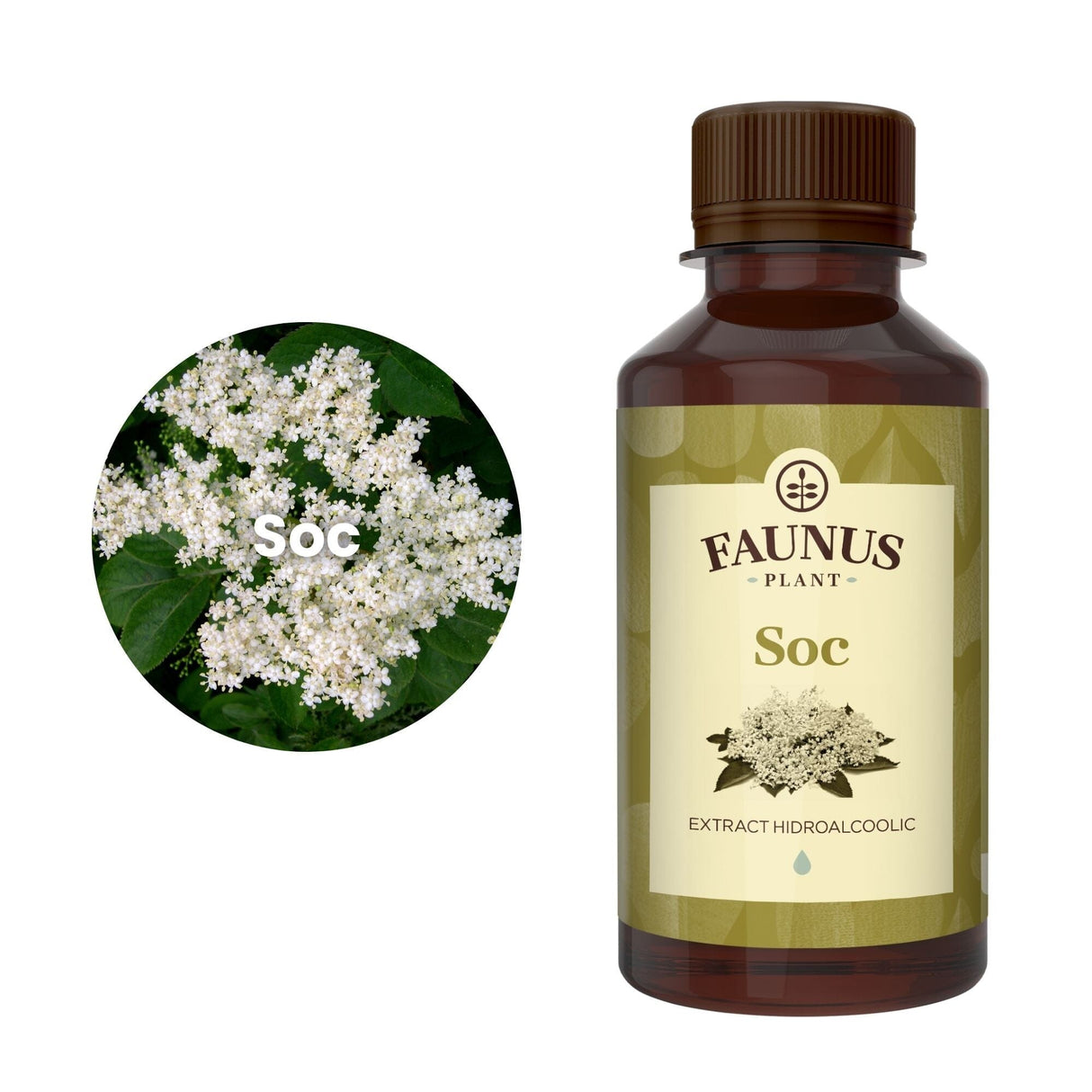 Imagine care cuprinde o reprezentare grafică a ingredientului principal din compoziția Tincturii Soc 200ml și anume socul. În dreapta imaginii, produsul Tinctură Soc 200 ml de la Faunus Plant.