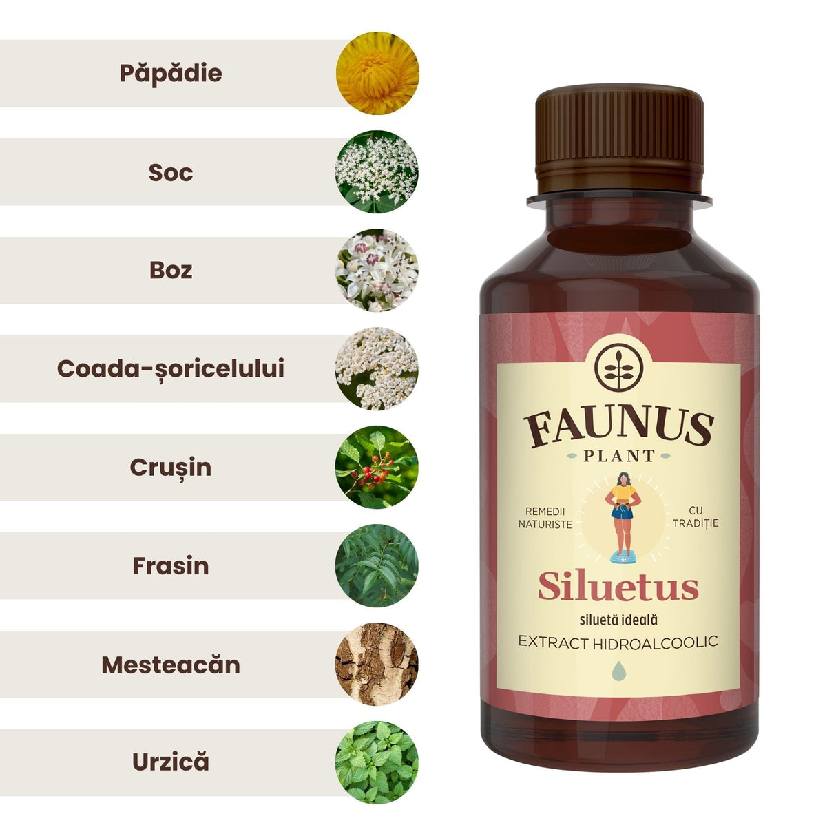 Lista ingredientelor principale ale Tincturii Siluetus, inclusiv păpădie, soc, boz, coada-șoricelului, crușin, frasin, mesteacăn și urzică, în chenar alb alături de câte o imagine reprezentativă, având în partea dreaptă flaconul de loțiune.