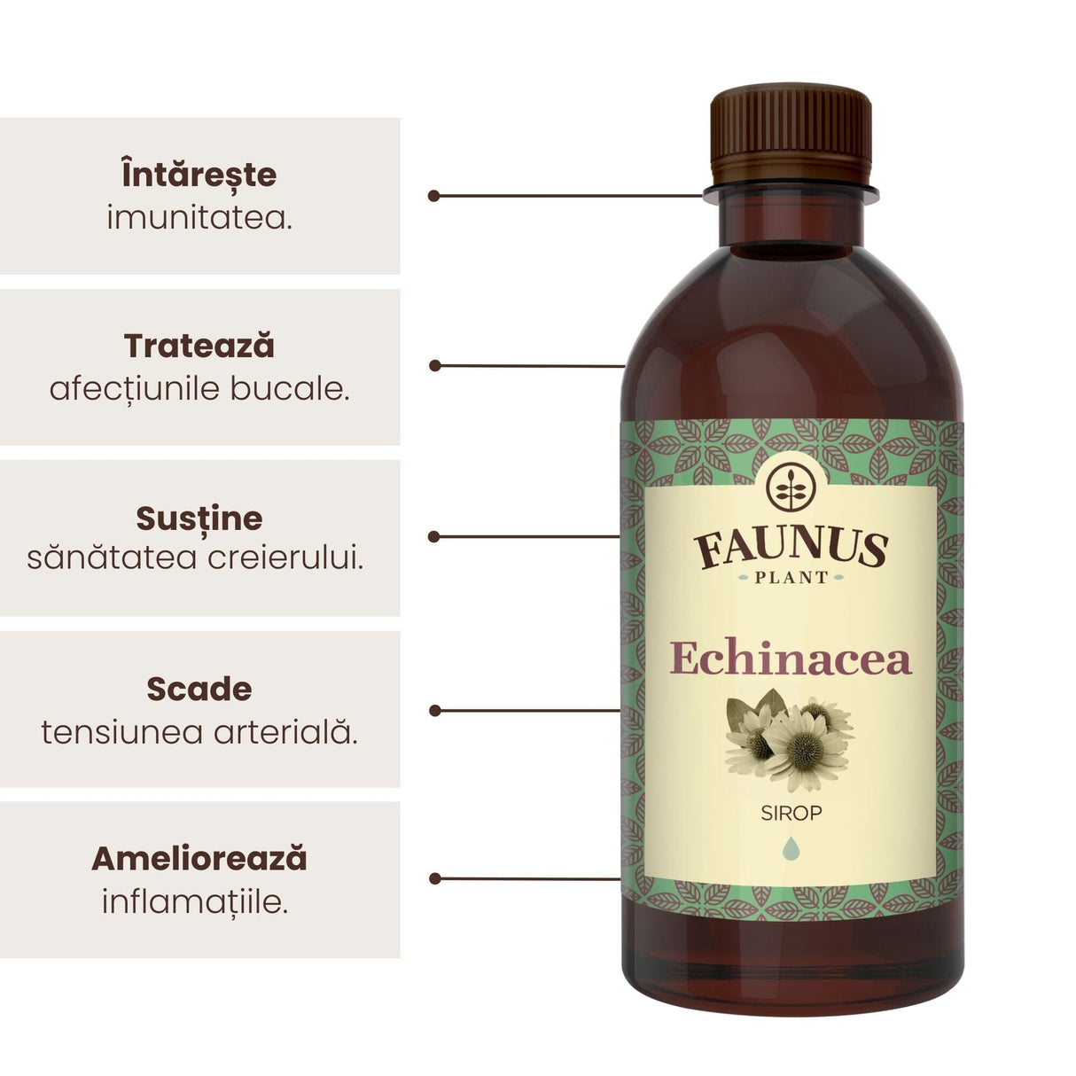 Sirop Echinacea de la Faunus Plant de 500 ml, alături de o listă de beneficii precum întărirea sistemului imunitar, tratarea afecțiunilor bucale, susținerea sănătății creierului, precum și menținerea tensiunii arteriale la nivel optim, dar și ameliorarea inflamațiilor.