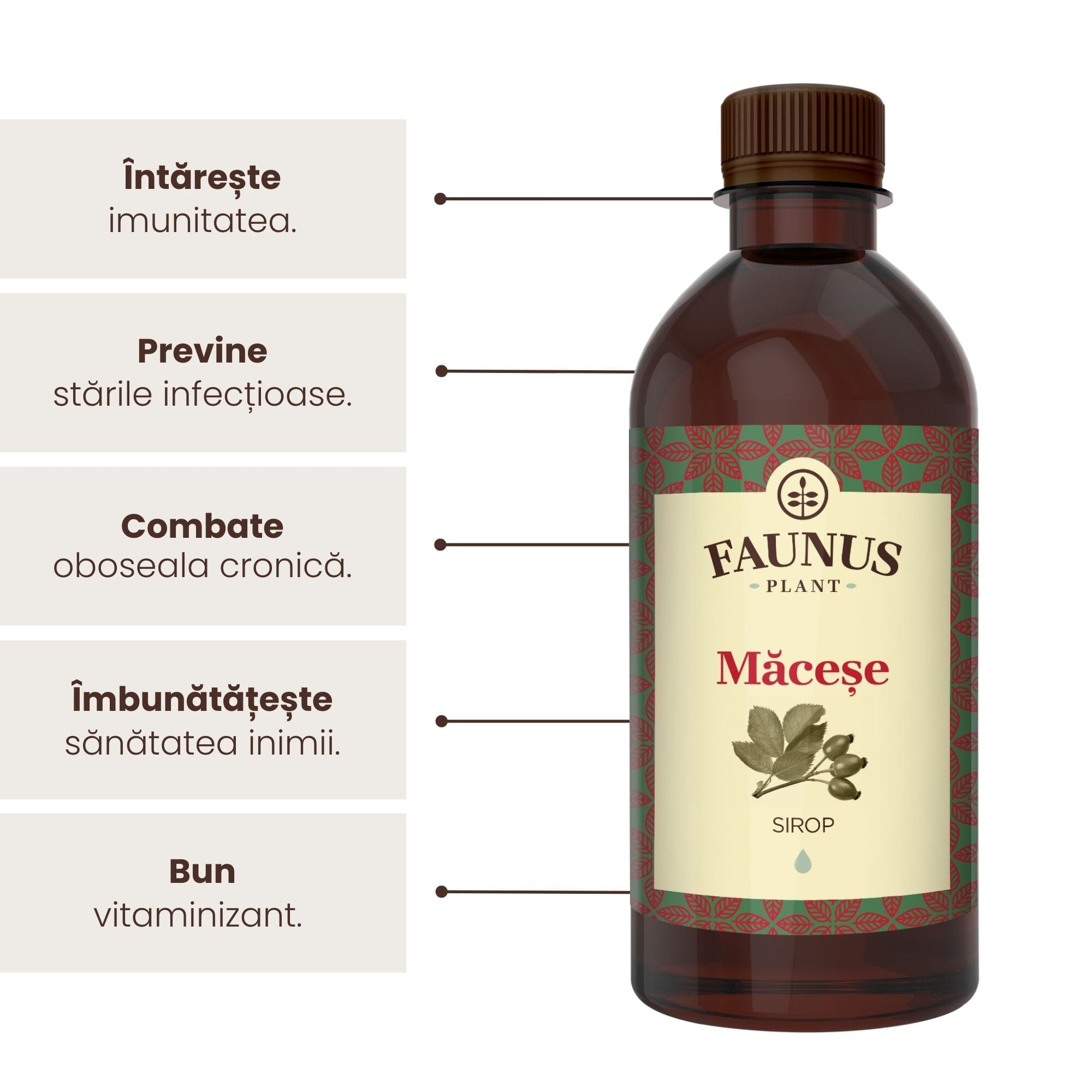 Sirop Măceșe de la Faunus Plant de 500 ml, alături de o listă de beneficii precum tonifierea întregului organism, îmbunătățirea imunității, prevenirea stărilor infecțioase,combaterea oboselii cronice, îmbunătățirea sănățății inimii precum și, în final, apare că e un bun vitaminizant.