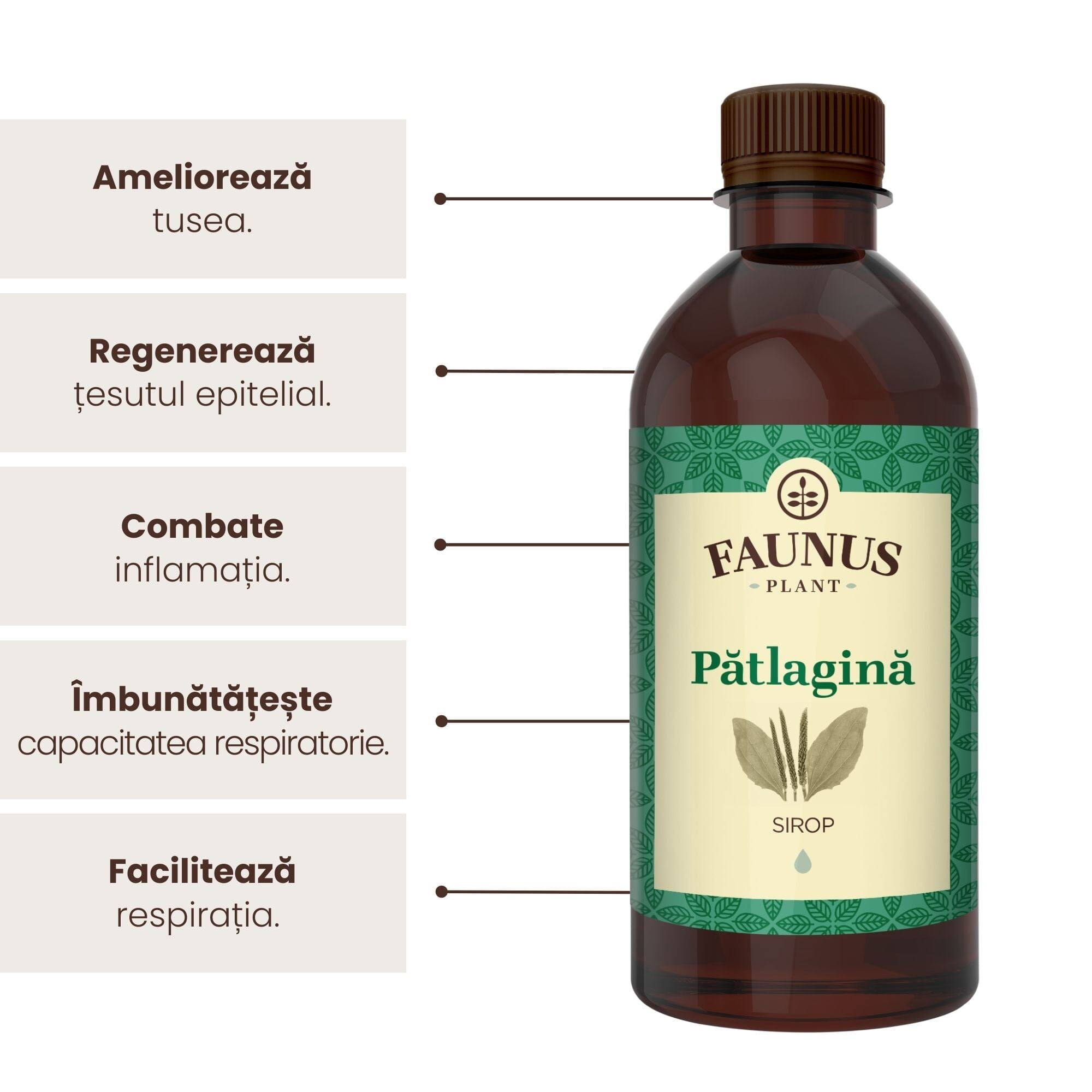 Sirop de Pătlagină 500ml de la Faunus Plant, alături de o listă de beneficii precum ameliorarea tusei, regenerarea țesutului epitelial, combaterea inflamației,îmbunătățirea capacității respiratorii, și nu în ultimul rând facilitarea respirației.