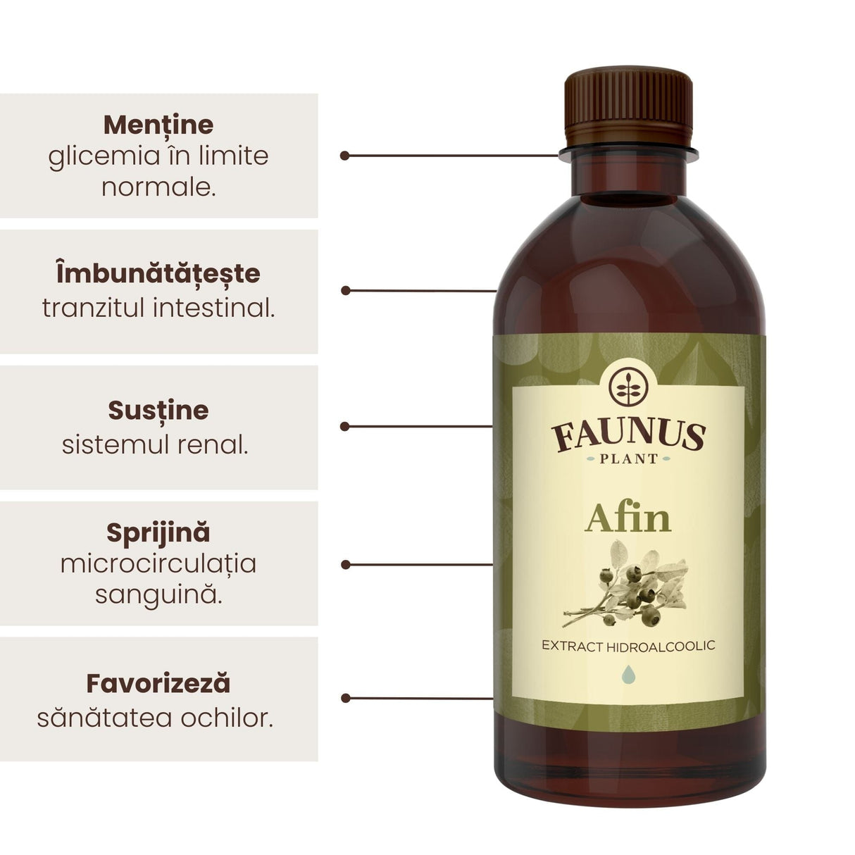 Beneficii principale ale Tincturii Afin 500 ml de la Faunus Plant precum: menținerea glicemiei în limite normale, îmbunătățirea tranzitului intestinal, susținerea sistemului renal, sprijinirea microcirculației sanguine și favorizarea sănătății ochilor.