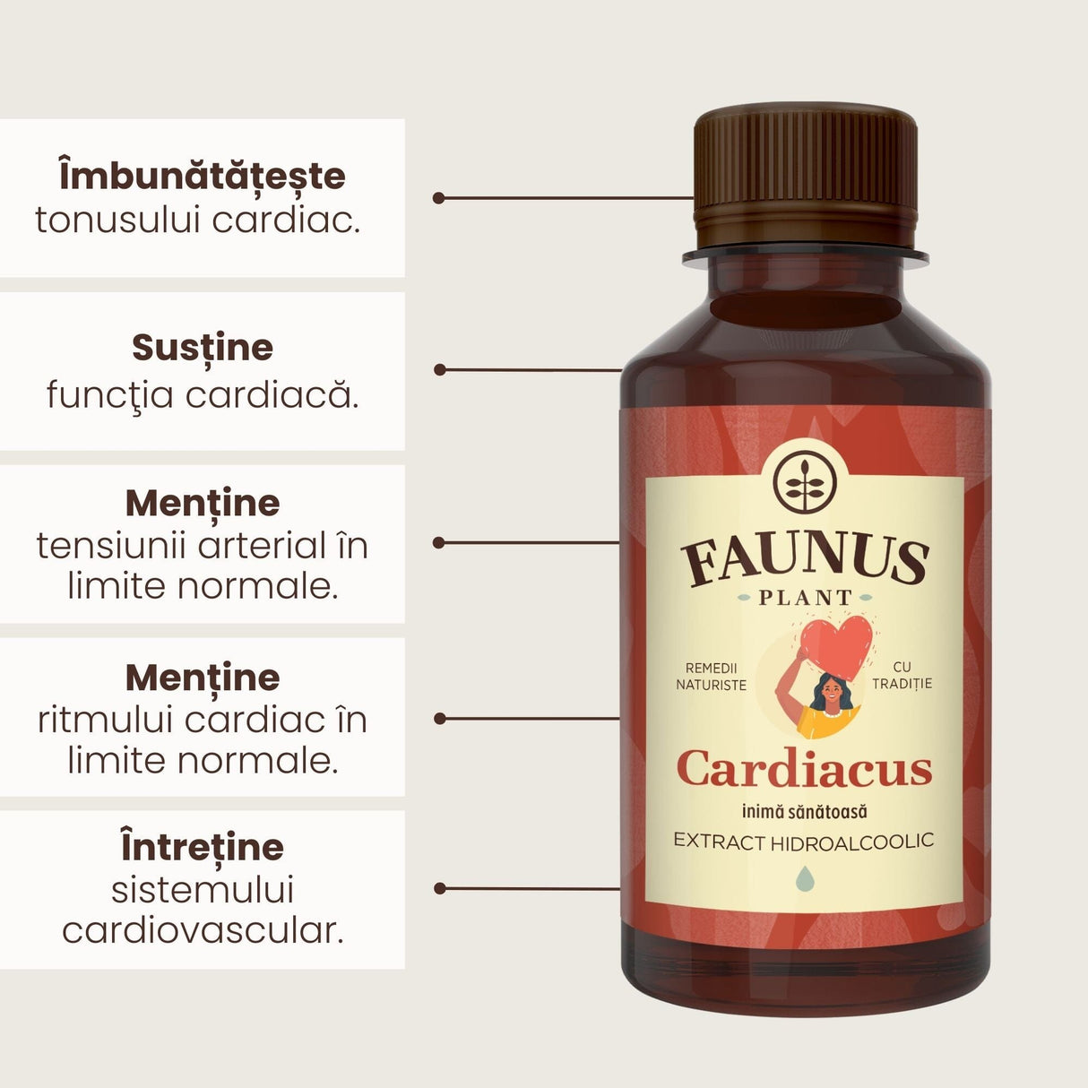 Beneficii principale Tinctură Cardiacus 200 ml de la Faunus Plant precum: îmbunătățirea tonusului cardiac, susținerea funcției cardiace, menținerea tensiunii arteriale în limite normale, menținerea ritmului cardiac în limite normale, întreținerea sistemului cardiac.