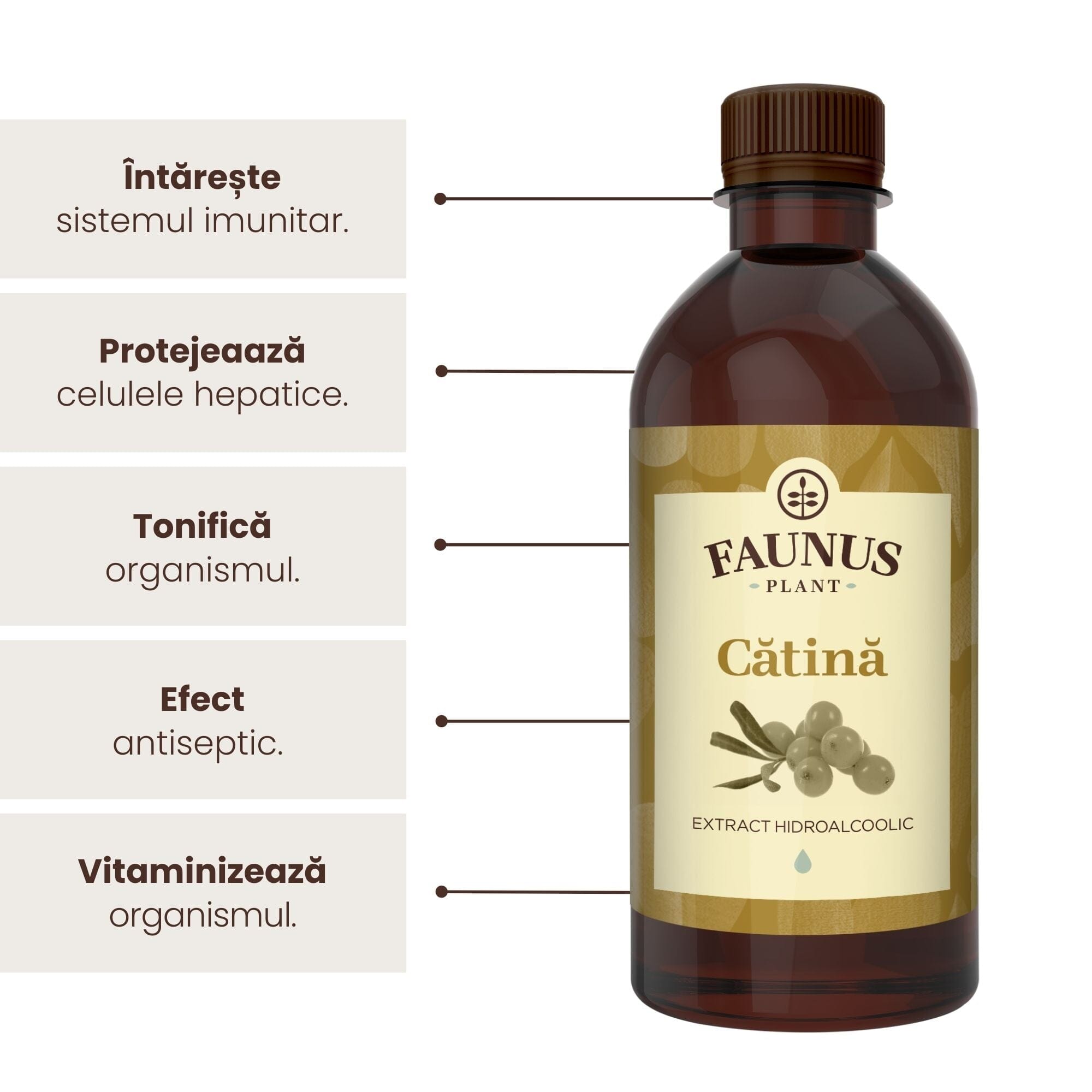 Beneficii principale Tinctură Cătină 500 ml de la Faunus Plant precum: întărirea sistemului imunitar, protejarea celulelor hepatice, tonifierea organsimului, efect antiseptic, vitaminizarea organismului.