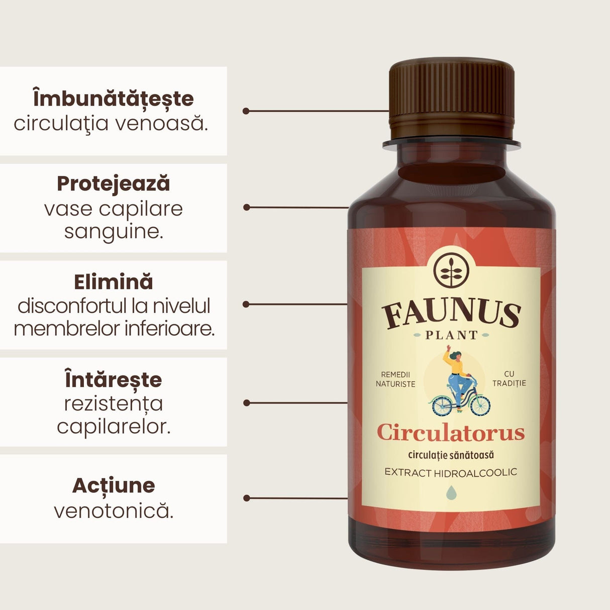 Beneficii principale Tinctură Circulatorus 200 ml de la Faunus Plant precum: îmbunătățirea circulației venoase, protejarea vaselor capilare sanguine, eliminarea disconfortului la nivelul membrelor inferioare, întărirea rezistenței capilalelor și acțiune venotonică.