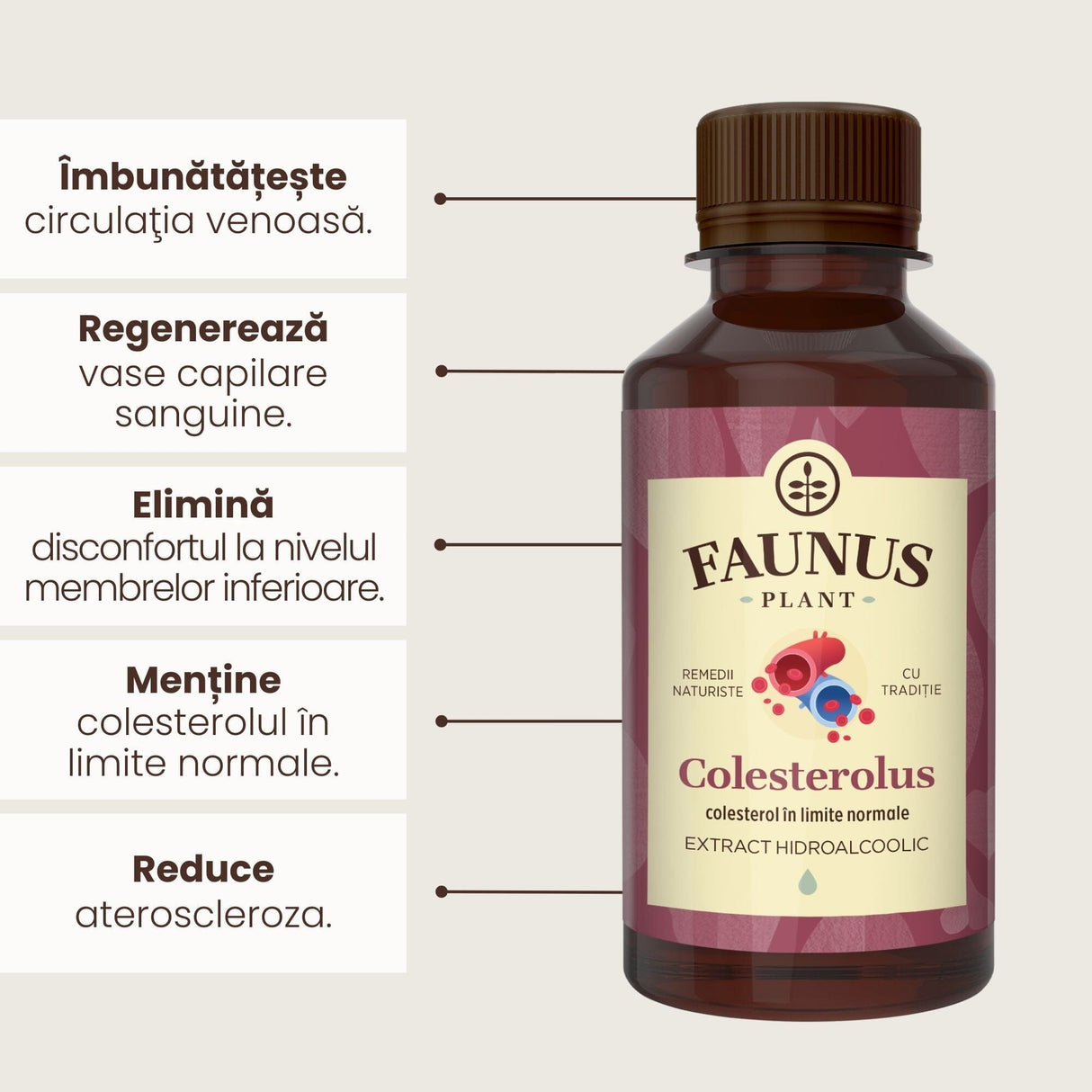 Beneficii principale Tinctură Colesterolus 200 ml de la Faunus Plant precum: îmbunătățirea circulației venoase, regenererarea vaselor capilare sanguine, eliminarea disconfortului la nivelul membrelor inferioare, menținerea colesterolului la limite normale și reducerea aterosclerozei.