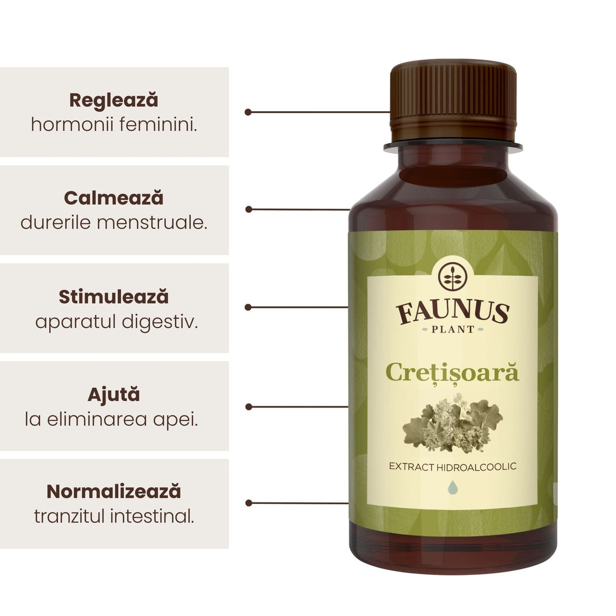 Beneficii principale Tinctură Crețișoara 200 ml de la Faunus Plant precum: reglarea hormonilor feminini, calmarea durerilor musculare, stimularea aparatului digestiv, eliminarea apei și normalizarea tranzitului intestinal.