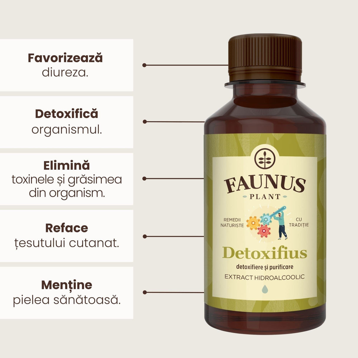 Beneficii principale Tinctură Detoxifius 200 ml de la Faunus Plant precum: favorizarea diurezei, detoxifierea organismului, eliminarea toxinelor și a grăsimii din organism, refacerea țesutului cutanat și menținerea pielii sănătoase.