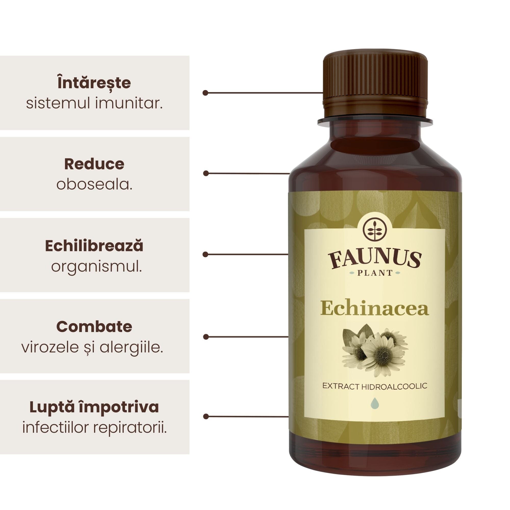 Beneficii principale Tinctură Echinacea 200 ml de la Faunus Plant precum: întărirea sistemului imunitar, reducerea oboselii, echilibrarea organismului, combaterea virozelor și a alergiilor și lupta împotriva infecțiilor respiratorii.