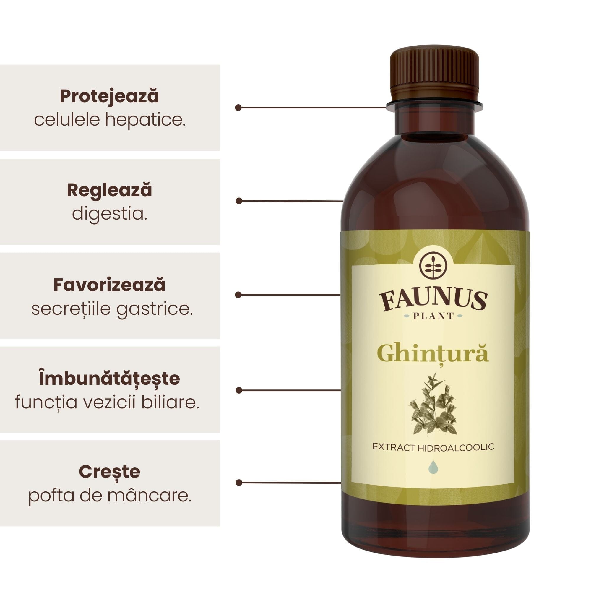 Beneficii principale Tinctură Ghințura 500 ml de la Faunus Plant precum: protejarea celulelor hepatice, protejarea digestiei, favorizarea secreției gastrice și creșterea poftei de mâncare