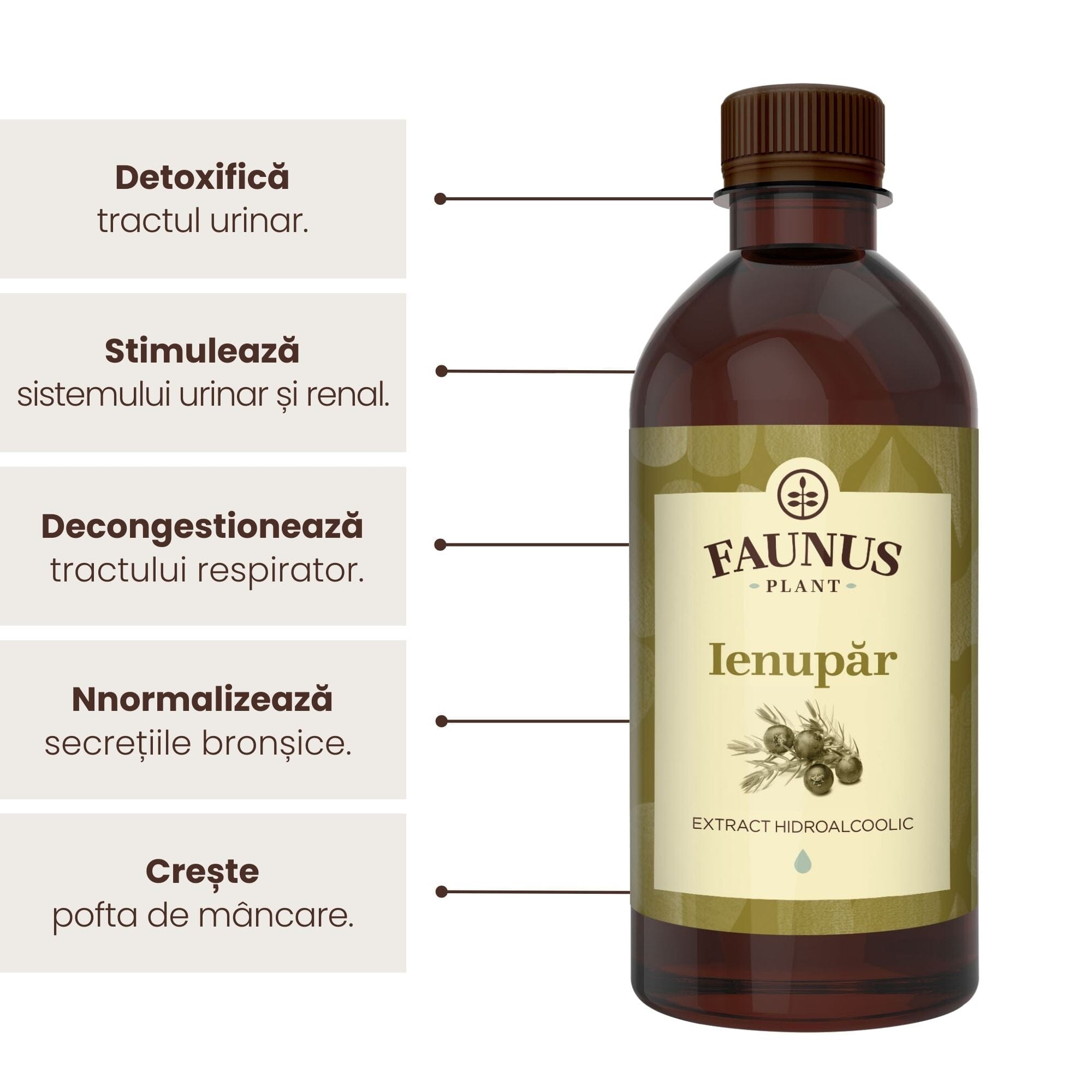 Beneficii principale Tinctură Ienupăr 500 ml de la Faunus Plant precum: detoxifierea tractului urinar, stimularea sistemului renal și urinar, decongestionarea tractului respirator, normalizarea secreției bronșice și creșterea poftei de mâncare.