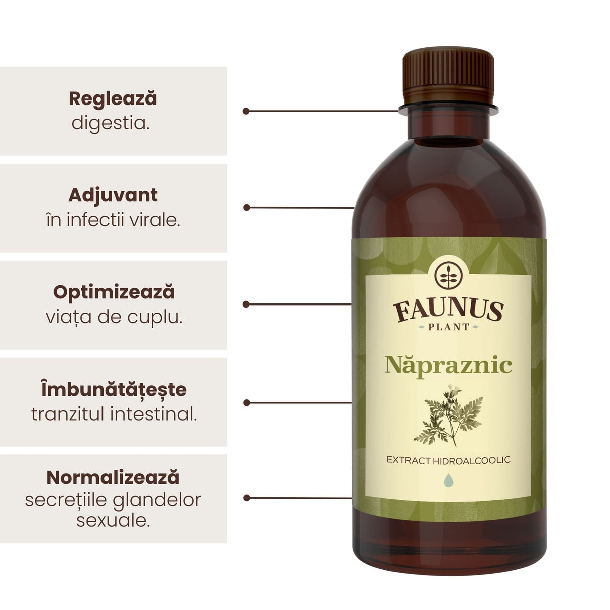 Beneficii principale Tinctură Năpraznic 500 ml de la Faunus Plant precum: reglarea digestiei, adjuvant în infecțiile vitale, menținerea sănătoasă a vieții intime, îmbunătățirea tranzitului intestinal și normalizarea secrețiilor glandelor.
