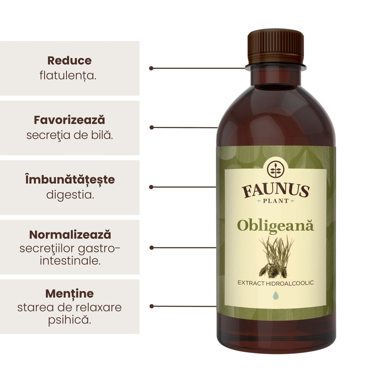 Beneficii principale Tinctură Obligeană 500 ml de la Faunus Plant precum: reducerea flatulenței, favorizarea secrețiie de bilă, îmbunătățirea digestiei, normalizarea secrețiilor gastro-intestinale și menținerea stării de relaxare psihică.