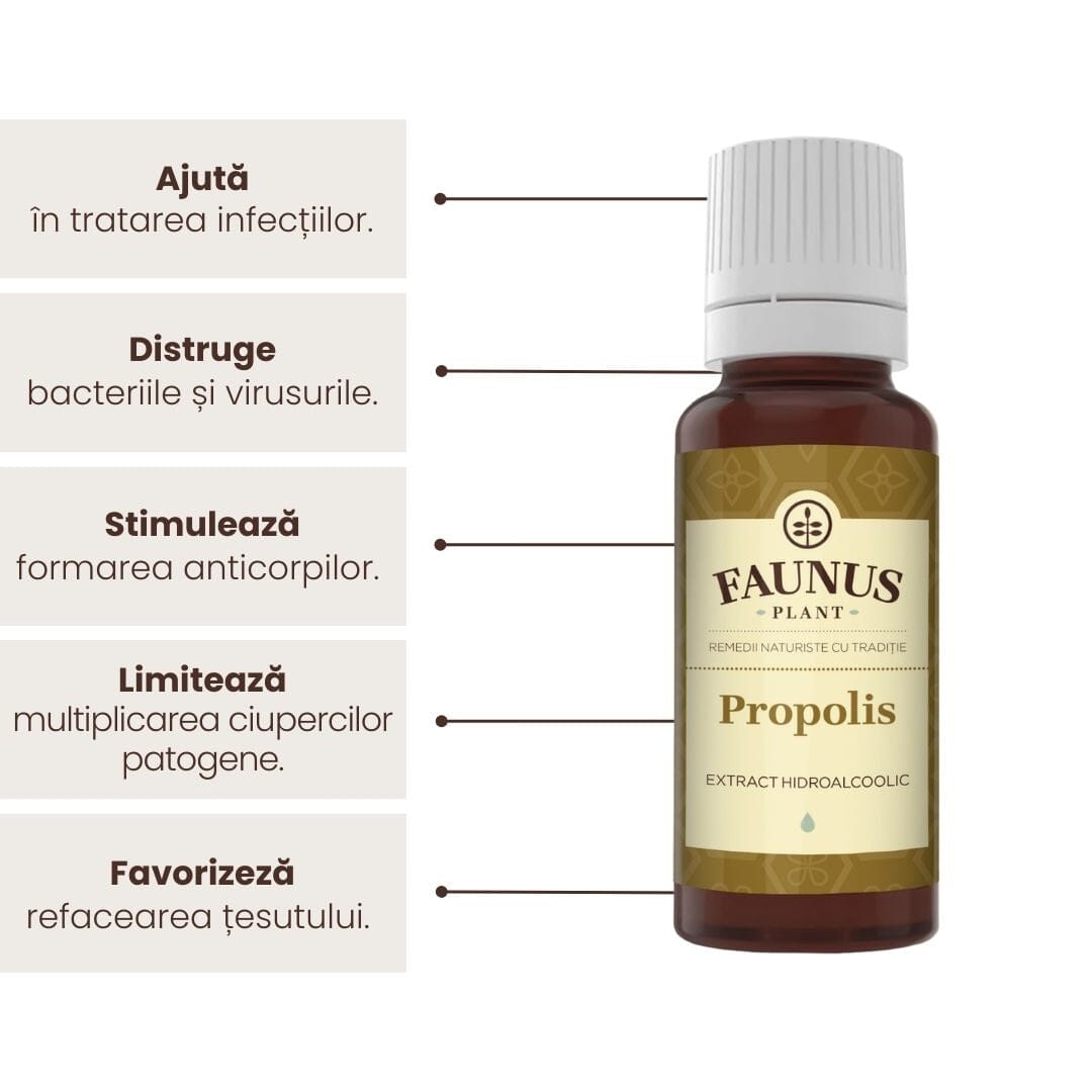 Beneficii principale Tinctură Propolis 20 ml de la Faunus Plant precum: tratarea infecțiilor, distrugerea bacteriilor și a virusurilor, stimularea formării anticorpilor, limitarea înmulțirii ciupercilor patogene, favorizarea refacerii țesutului.