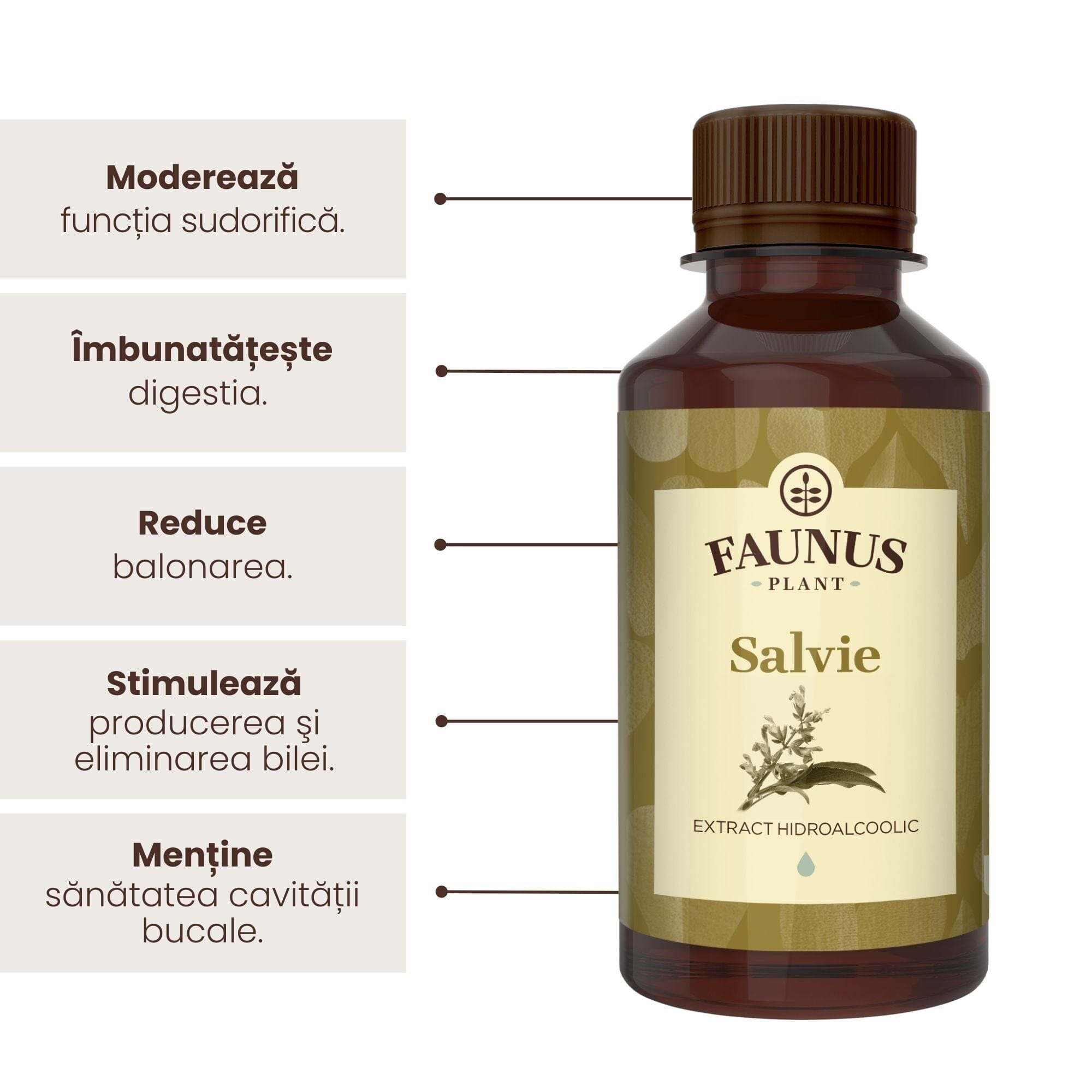 Beneficii principale Tinctura Salvie 200 ml de la Faunus Plant precum: reglarea funcției sudorifice, îmbunătățirea digestiei, reducerea balonării, stimularea producerea și eliminarea bilei și menținerea sănătății bucale.
