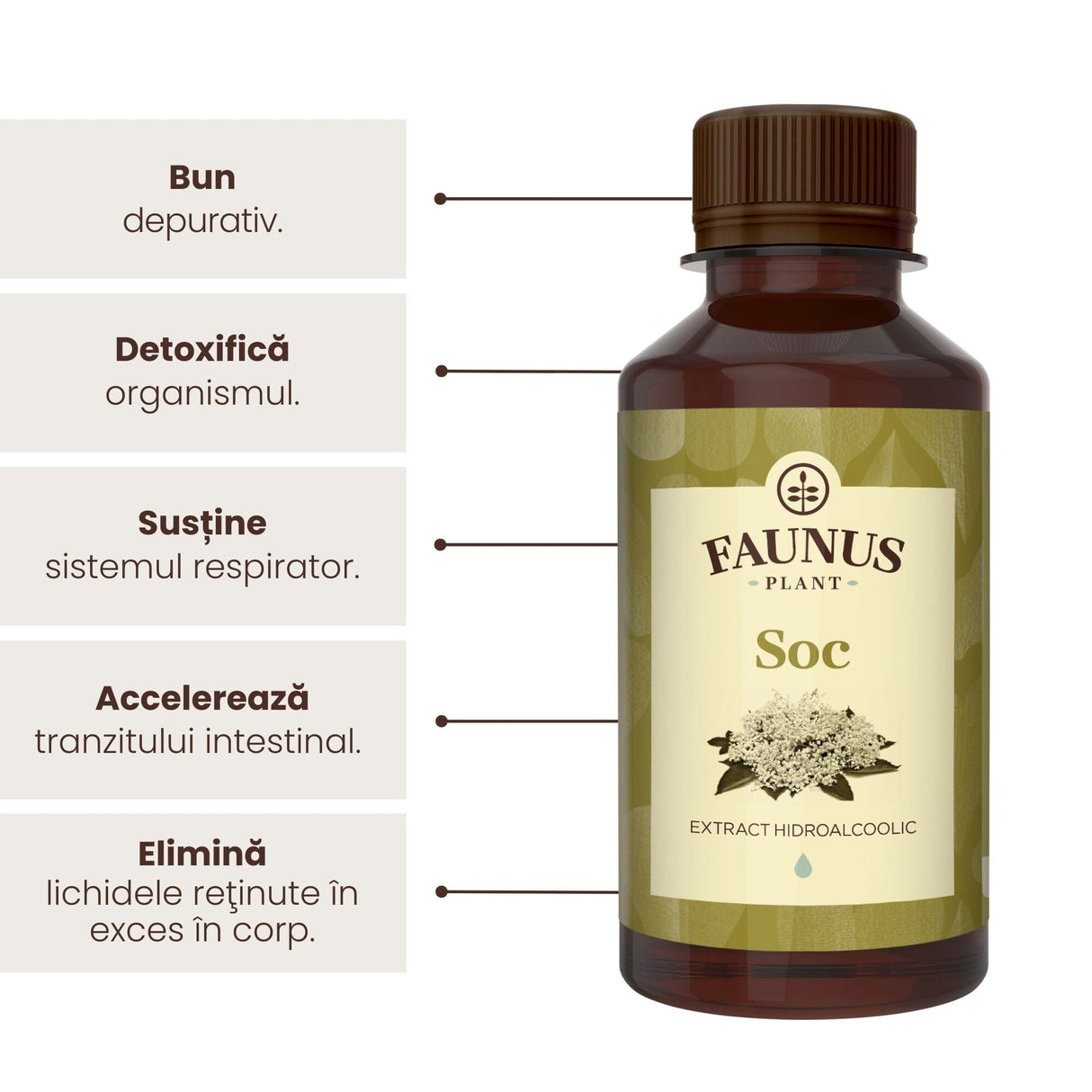 Flacon de tinctură Soc 200ml de la Faunus Plant, alături de reprezentare grafică a beneficiilor precum proprietăți depurative, detoxifierea organsimului, susținerea sistemului respirator, ameliorarea tranzitului intestinal și eliminarea lichidelor reținute excesiv în corp.