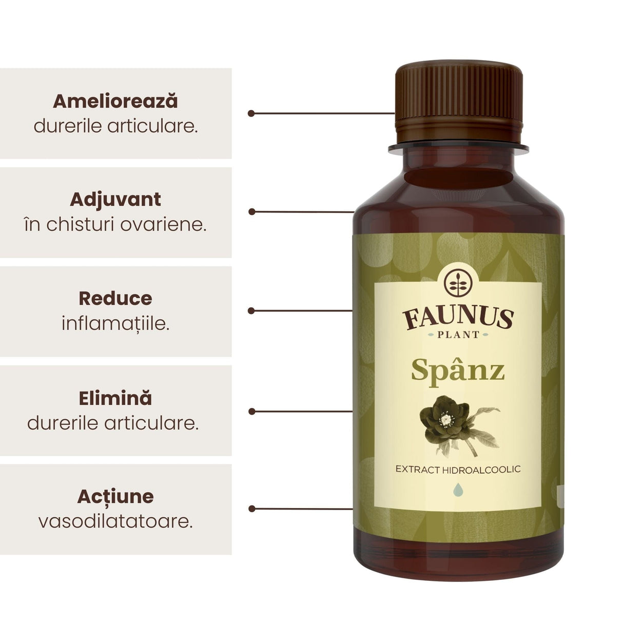 Flacon de tinctură Spânz 200ml de la Faunus Plant, alături de reprezentare grafică a beneficiilor precum ameliorarea durerilor articulare, adjuvant în chisturi ovariene, reducerea inflamațiilor, eliminarea durerilor articulare și proprietăți vasodilatatoare.
