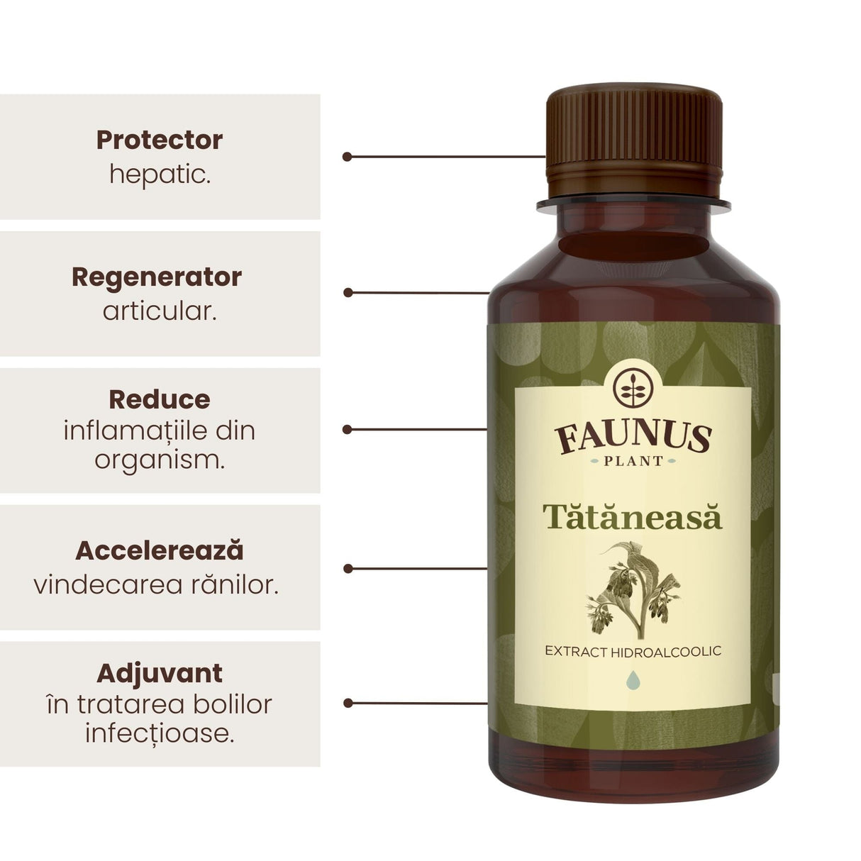 Flacon de tinctură Tătănesă 200ml de la Faunus Plant, alături de reprezentare grafică a beneficiilor precum protejarea hepatică, regenerarea articulară, reducerea inflamației din organism, accelerarea vindecării rănilor și bun adjuvant în tratarea bolilor infecțioase.