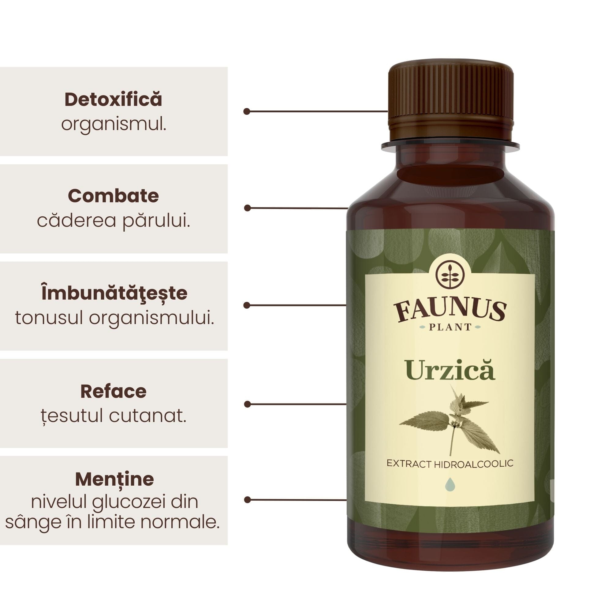 Flacon de tinctură Tinctură Urzică 200ml de la Faunus Plant, alături de reprezentare grafică a beneficiilor precum: detoxifierea organismului, combaterea căderii părului, îmbunătățirea tonusului, refacerea țesutului cutanat, menținerea glucozei în limite normale.