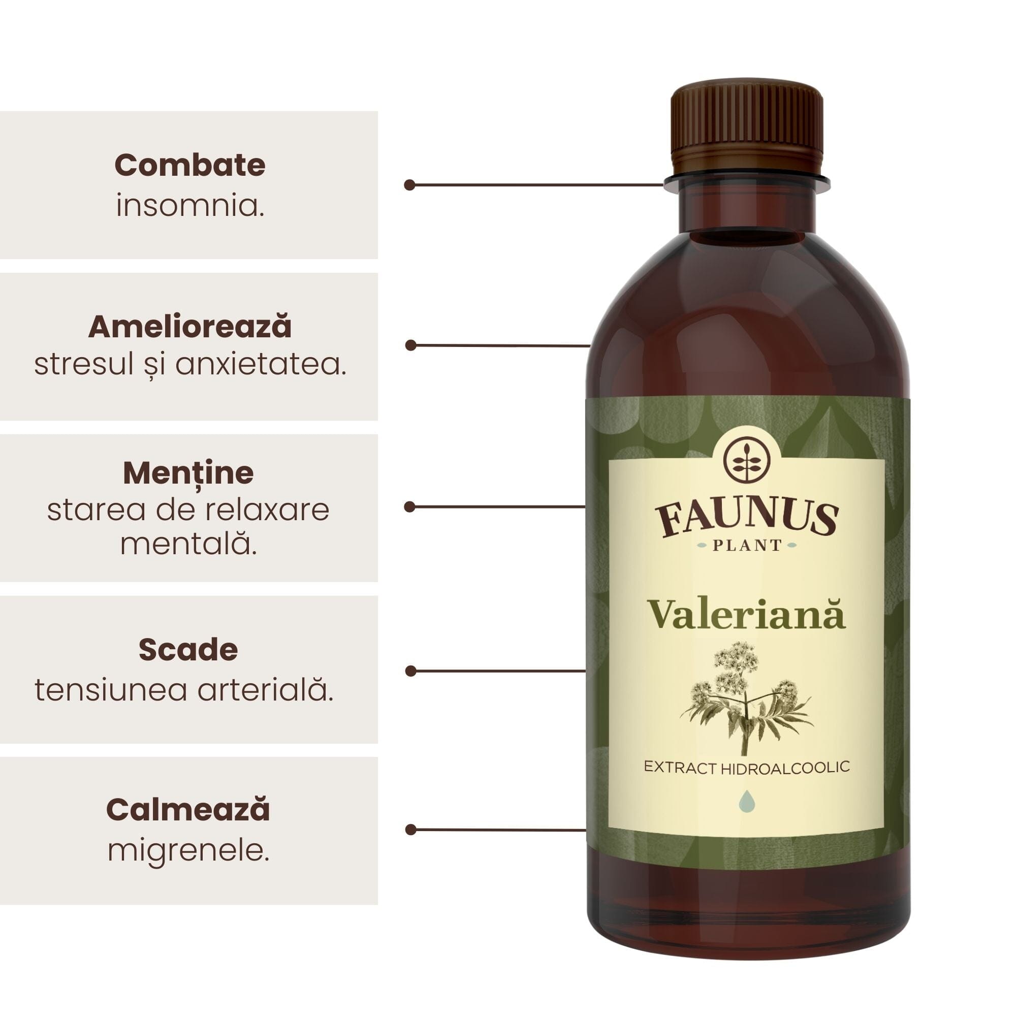 Flacon de tinctură Tinctură Valeriană 500ml de la Faunus Plant, alături de reprezentare grafică a beneficiilor precum: combaterea insomniei, ameliorarea stresului și a anxietății, menținerea stării de relaxare, scaderea tensiunii arteriale și calmarea migrenelor.