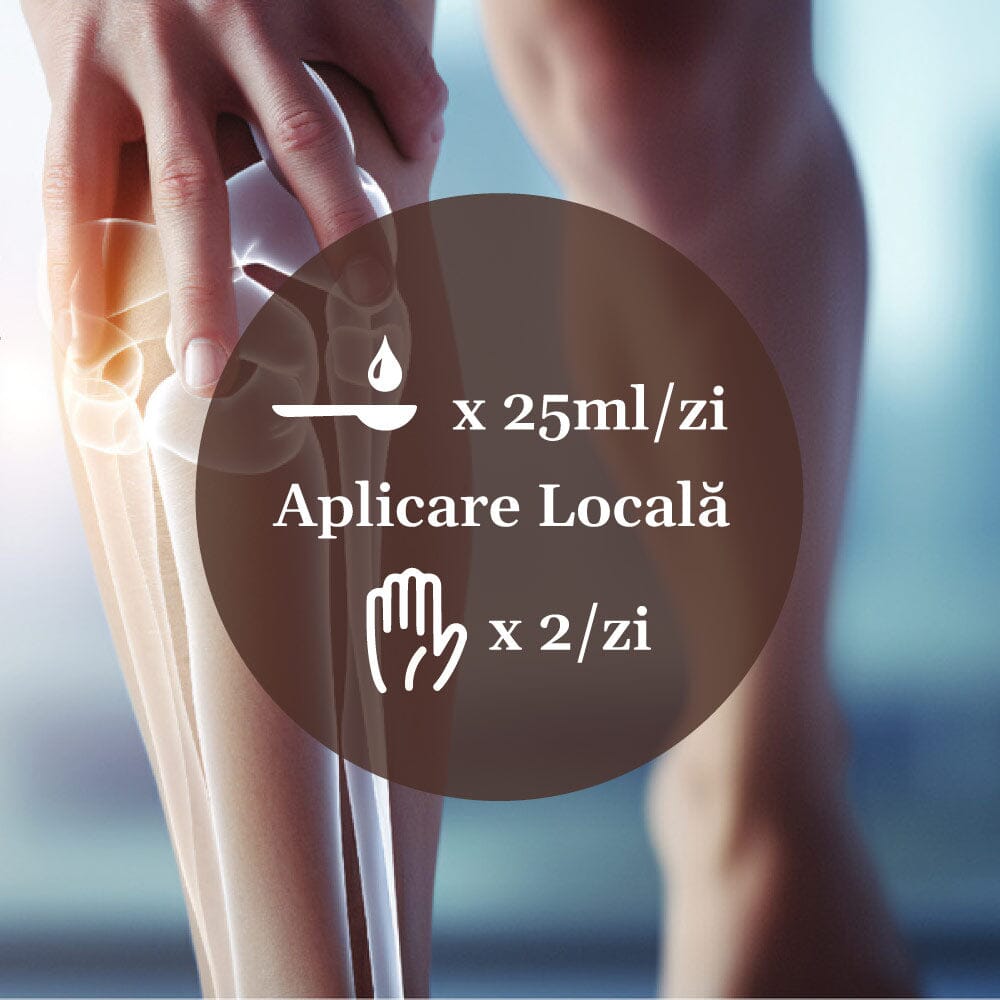 Mod de administrare Pachet Mobilitate și Recuperare de la Faunus Plant, prezentat într-un chenar rotund, 25ml / zi de Colagenus Articulații Forte și aplicare locală de două ori pe zi cu gelul Reumaticus Forte. Pe fundal se află genunchii unei femei, cu structura osoasă desenată pe unul dintre ei și o mână poziționată deasupra genunchiului.