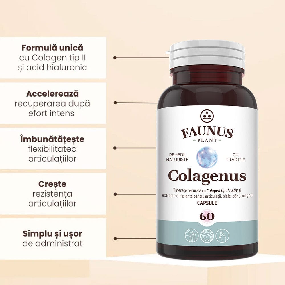 Colagenus Capsule - Colagen concentrat tip II, acid hialuronic și plante medicinale. Dureri articulare, rezistență articulații, flexibilitate - 60 Capsule Supliment alimentar Faunus Plant