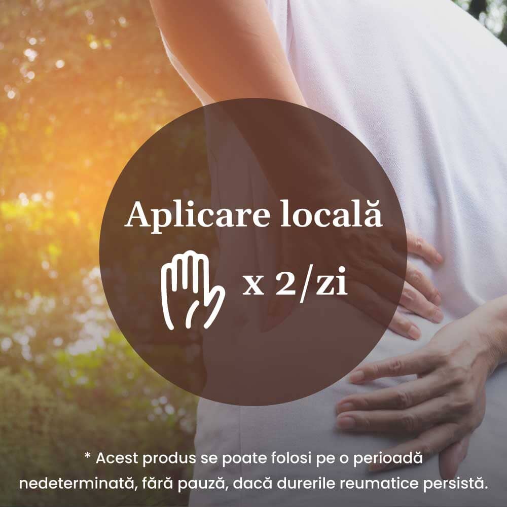 Grafică explicativă despre modul de administrare al produselor din pachetul Reumaticus: aplicare locală de două ori pe zi. Fundalul arată o persoană aplicând produsul în zona spatelui, pe un fundal luminos.