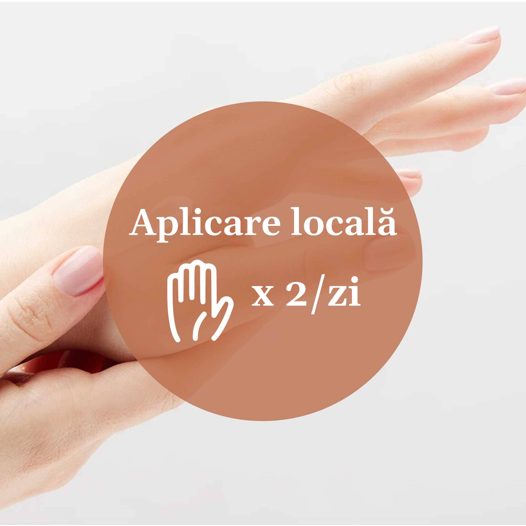 Imagine ce ilustrează modul de aplicare al unguentului: aplicare locală de 2 ori pe zi pe zonele afectate, reprezentat grafic prin mâini și text explicativ.