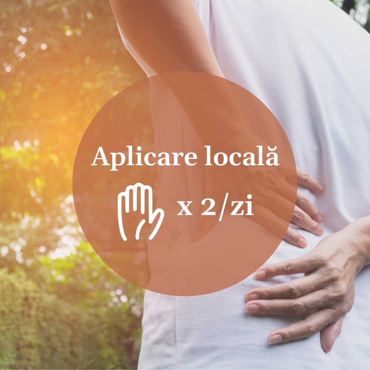 Informații despre modul de utilizare al Unguentului Reumaticus 50 ml de la Faunus Plant - recomandări de aplicare locală de două ori pe zi.