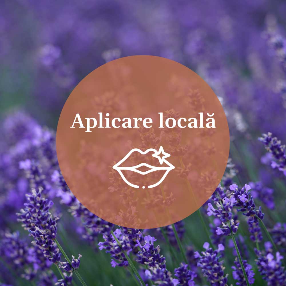 Element grafic pentru aplicarea Balsamului de Buze Lavandă de la Faunus Plant, cu textul ‘Aplicare locală’ și ilustrație grafică cu buze pe fundalul unei imagini cu flori de lavandă.