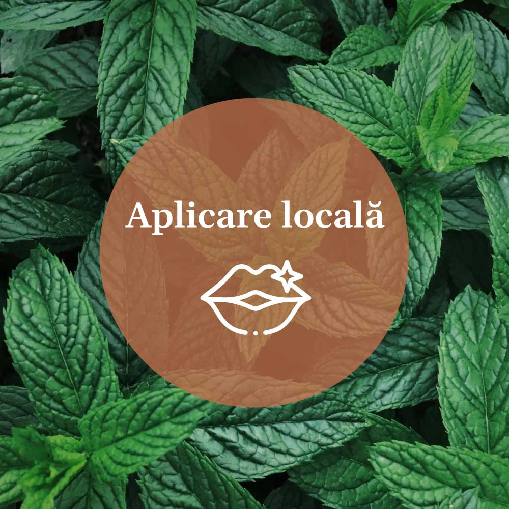 Element grafic pentru aplicarea Balsamului de Buze cu Mentă de la Faunus Plant, cu textul ‘Aplicare locală’ și ilustrație grafică cu buze pe fundalul unei imagini cu frunze de mentă.
