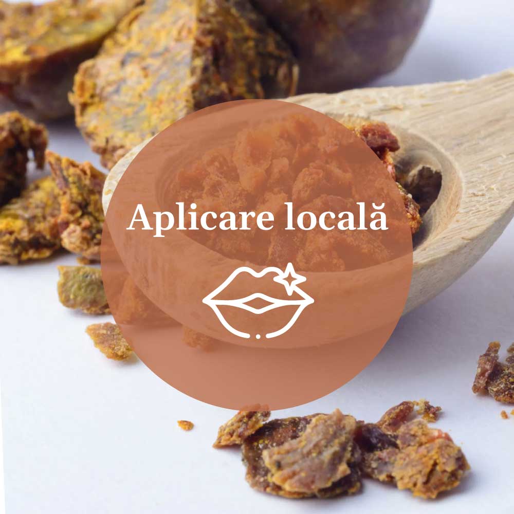 Element grafic pentru aplicarea Balsamului de Buze cu Propolis de la Faunus Plant, cu textul ‘Aplicare locală’ și ilustrație grafică cu buze pe fundalul unei imagini cu propolis.
