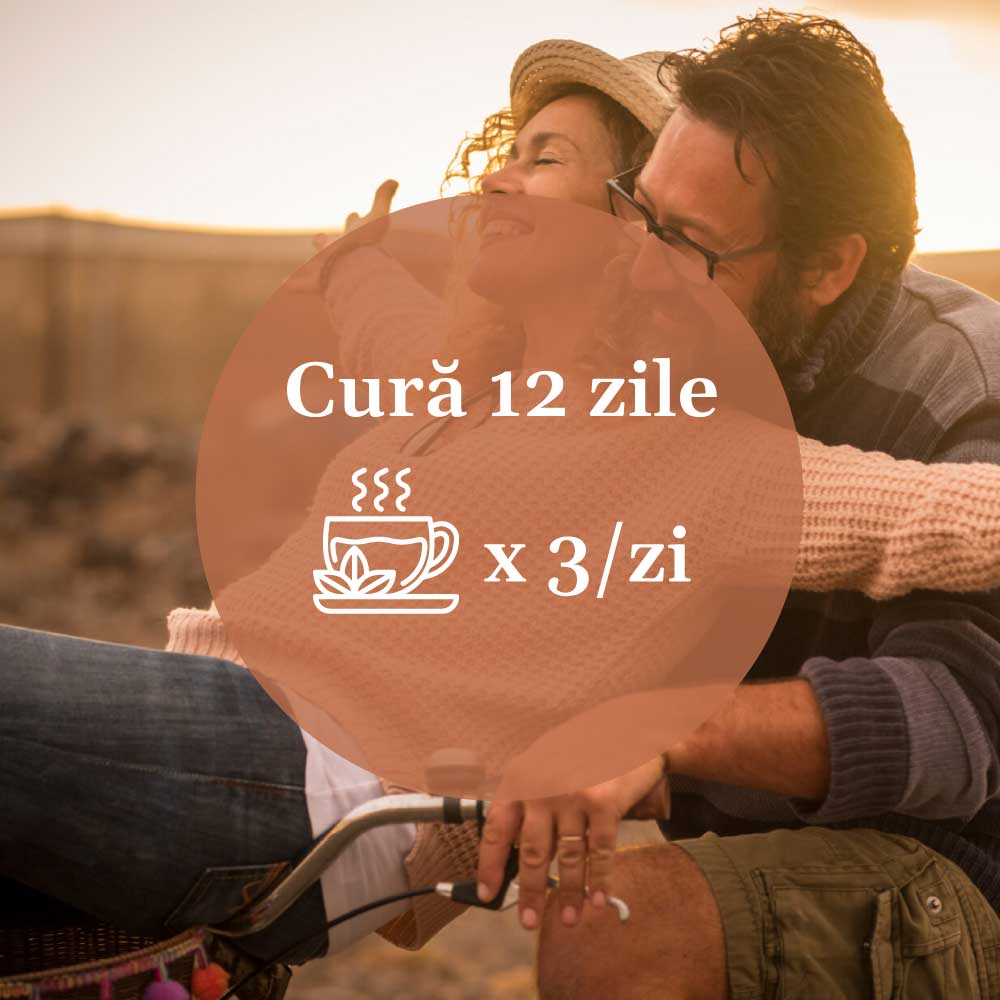 Modul de administrare al Ceaiului Hepatobiliarus 90g: „Cură 12 zile x 3/zi,” cu o ilustrație de cană de ceai, destinat sprijinirii sănătății ficatului.