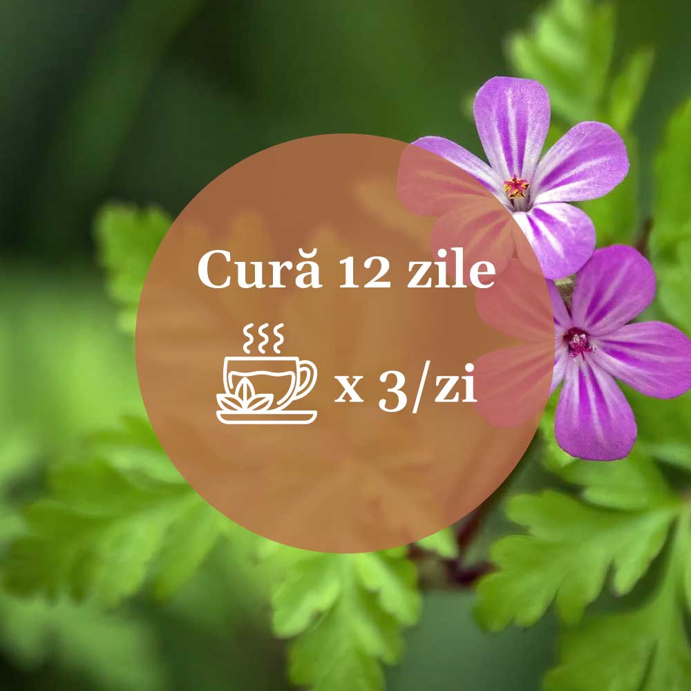 Mod de administrare pentru Ceaiul Năpraznic de la Faunus Plant, sugerând o cură de 12 zile cu 3 căni pe zi.