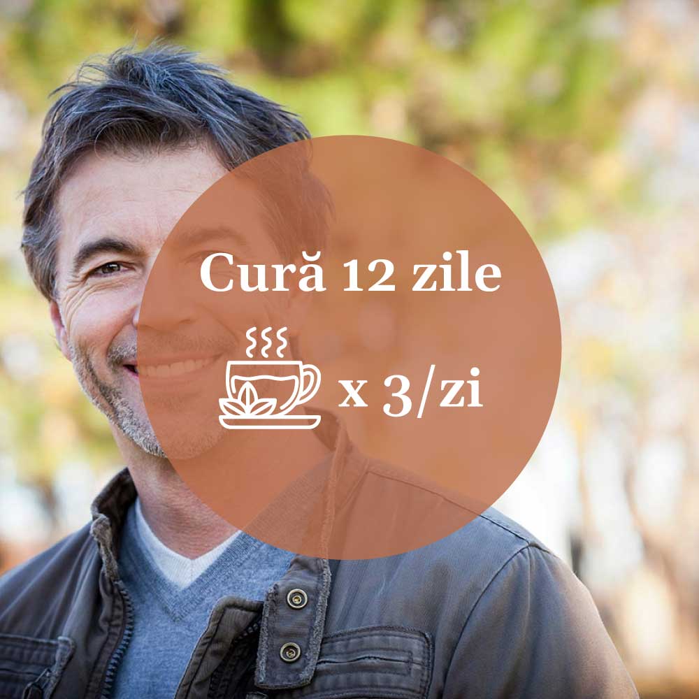 Schema de administrare a Ceaiului Prostatus: cură de 12 zile, cu 3 ceaiuri pe zi.