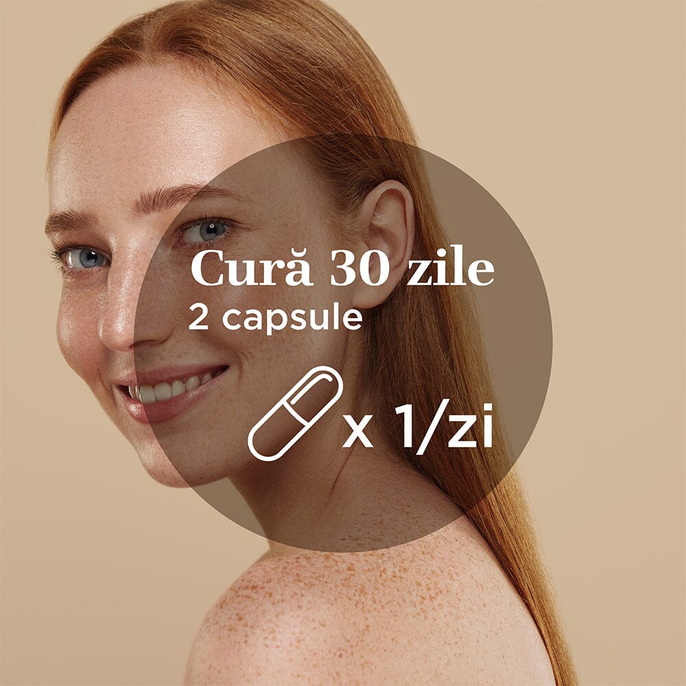 Colagenus Capsule - Colagen concentrat tip II, acid hialuronic și plante medicinale. Dureri articulare, rezistență articulații, flexibilitate - 60 Capsule Supliment alimentar Faunus Plant