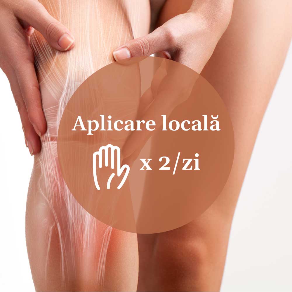 Mod de aplicare gel Reumaticus Forte de la Faunus Plant, de două ori pe zi, scris într-un medalion color, având pe fundal picioarele unei femei și desen care sugerează articulațiile pentru piciorul drept.