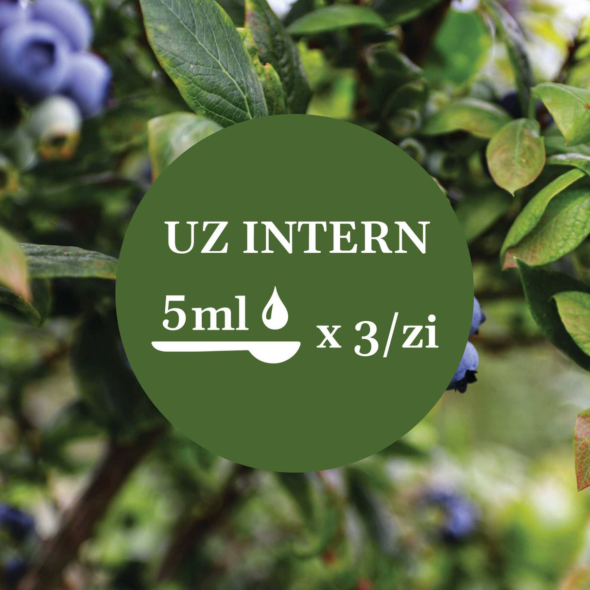 Imagine de fundal cu frunzele și fructele de afin, având un element grafic circular de culoare verde închis cu un text în mijloc sugerând administrarea prin uz intern a câte 5 ml de 3 ori pe zi.
