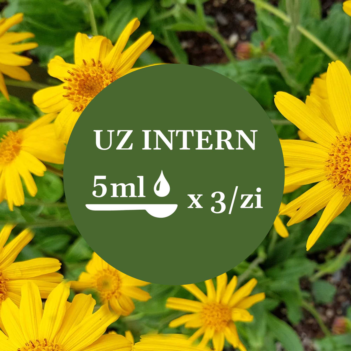 Imagine de fundal cu flori de arnică, având un element grafic circular de culoare verde închis cu un text în mijloc sugerând administrarea prin uz intern a câte 5 ml de 3 ori pe zi.