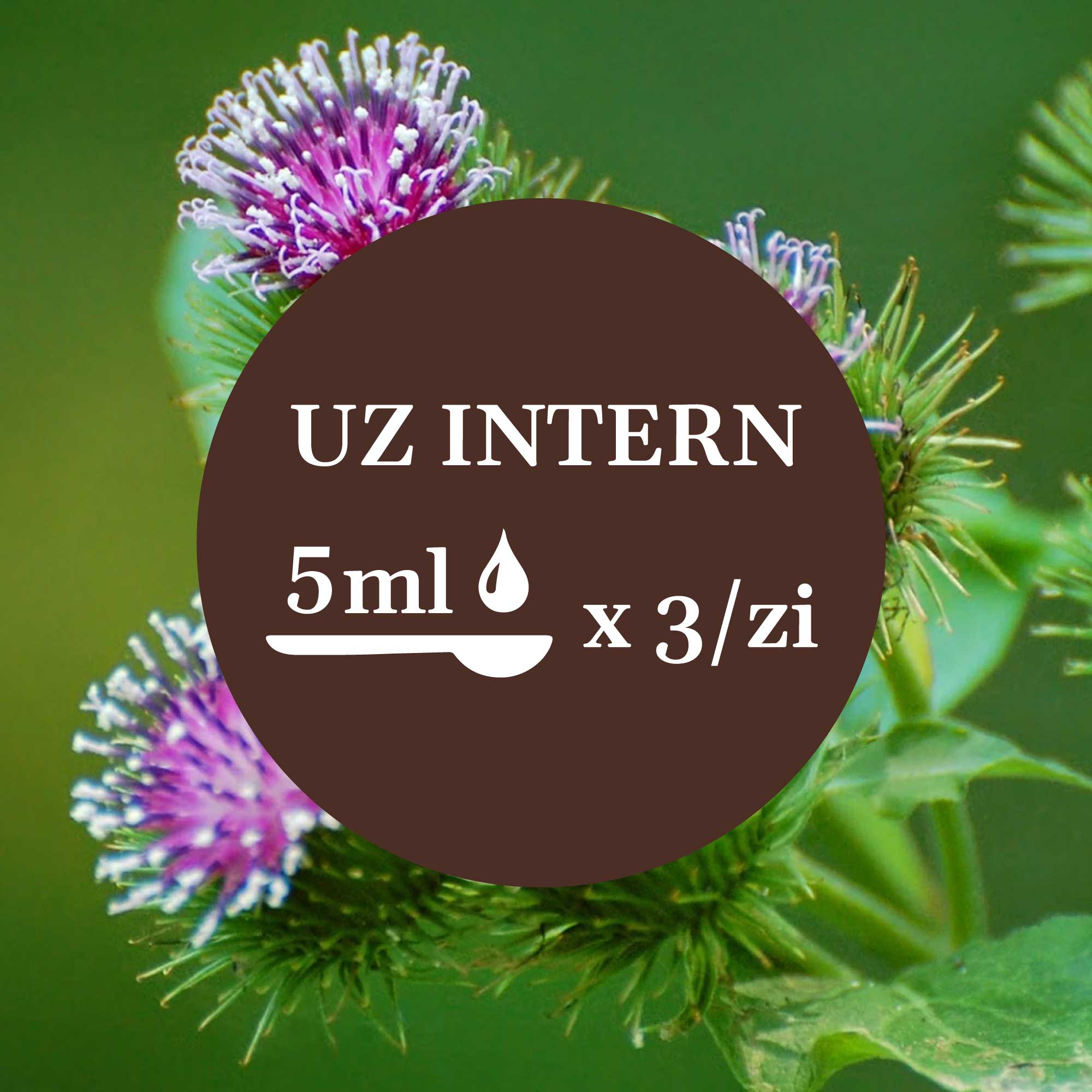 Imagine de fundal cu flori de brusture, având un element grafic circular de culoare maro închis cu un text în mijloc sugerând administrarea prin uz intern a câte 5 ml de 3 ori pe zi.